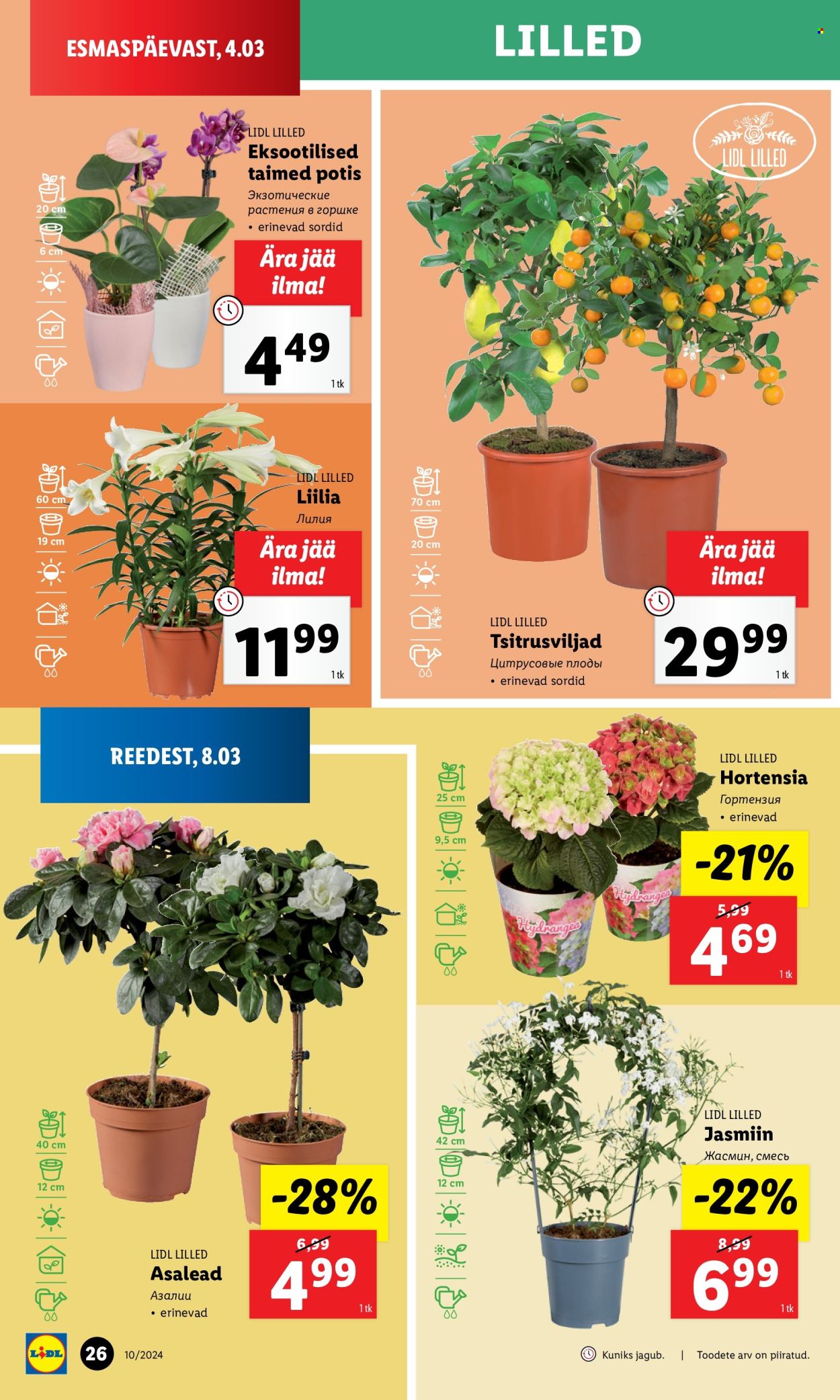 Lidl kliendileht - 07.03.2024 - 10.03.2024. Lehekülg 26