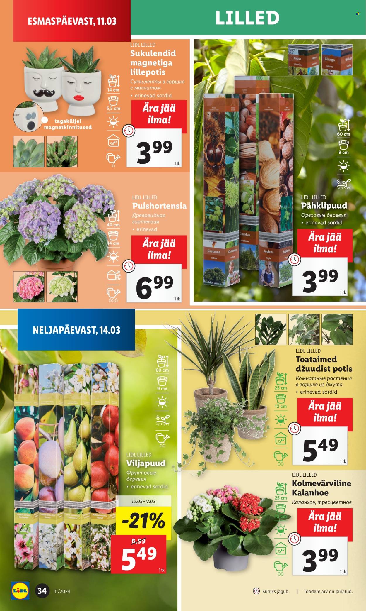 Lidl kliendileht - 11.03.2024 - 17.03.2024. Lehekülg 34