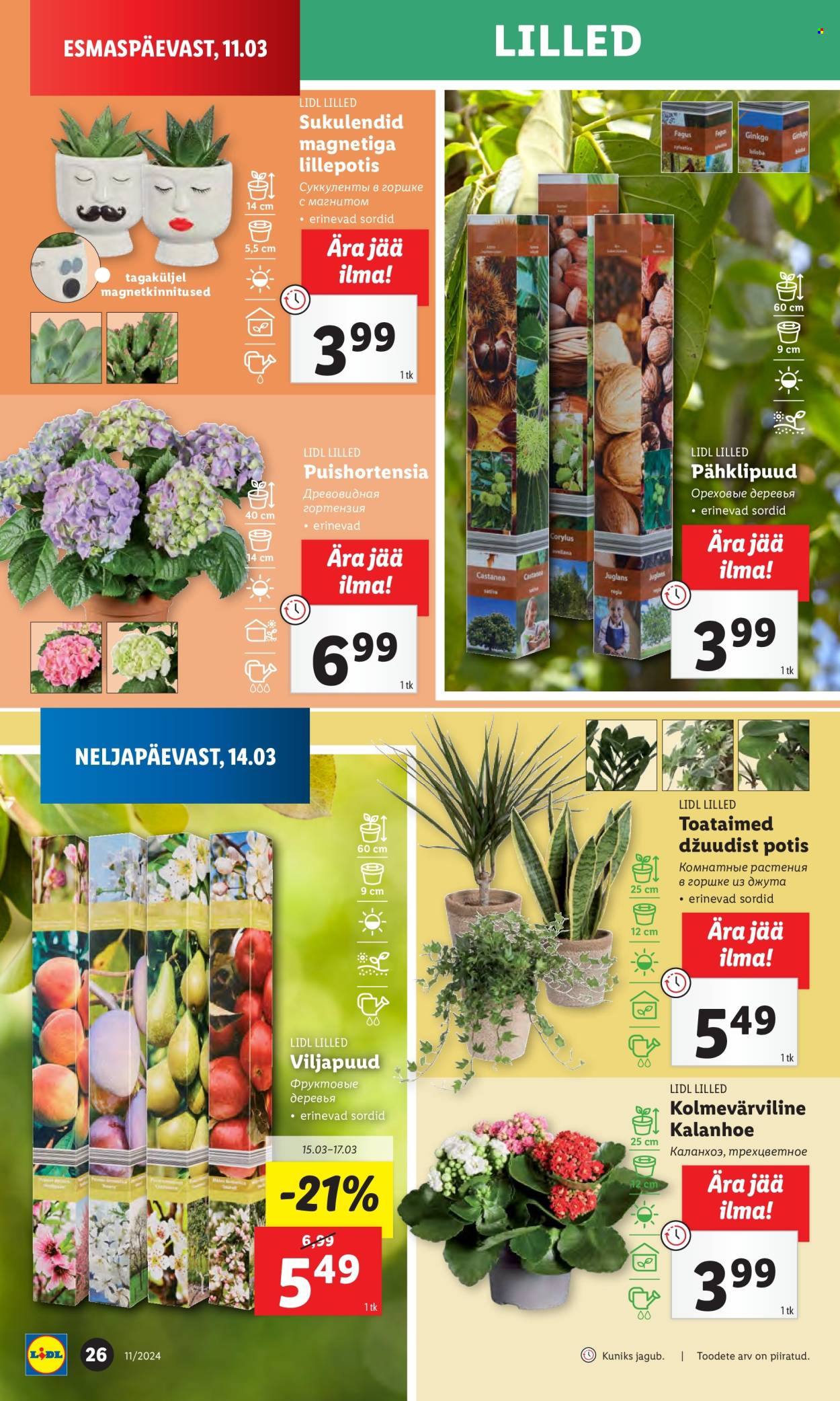 Lidl kliendileht - 14.03.2024 - 17.03.2024. Lehekülg 26