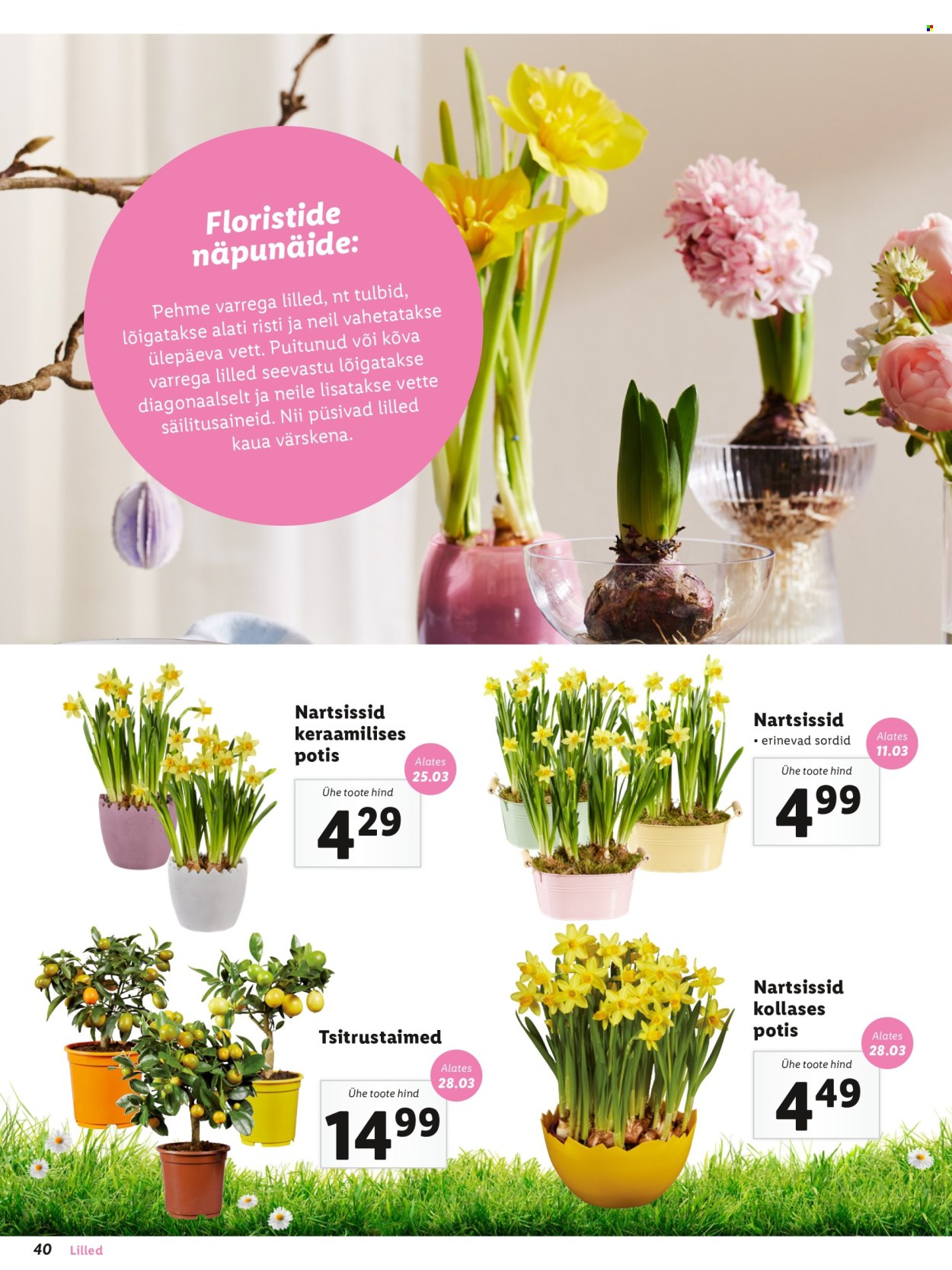 Lidl kliendileht. Lehekülg 40