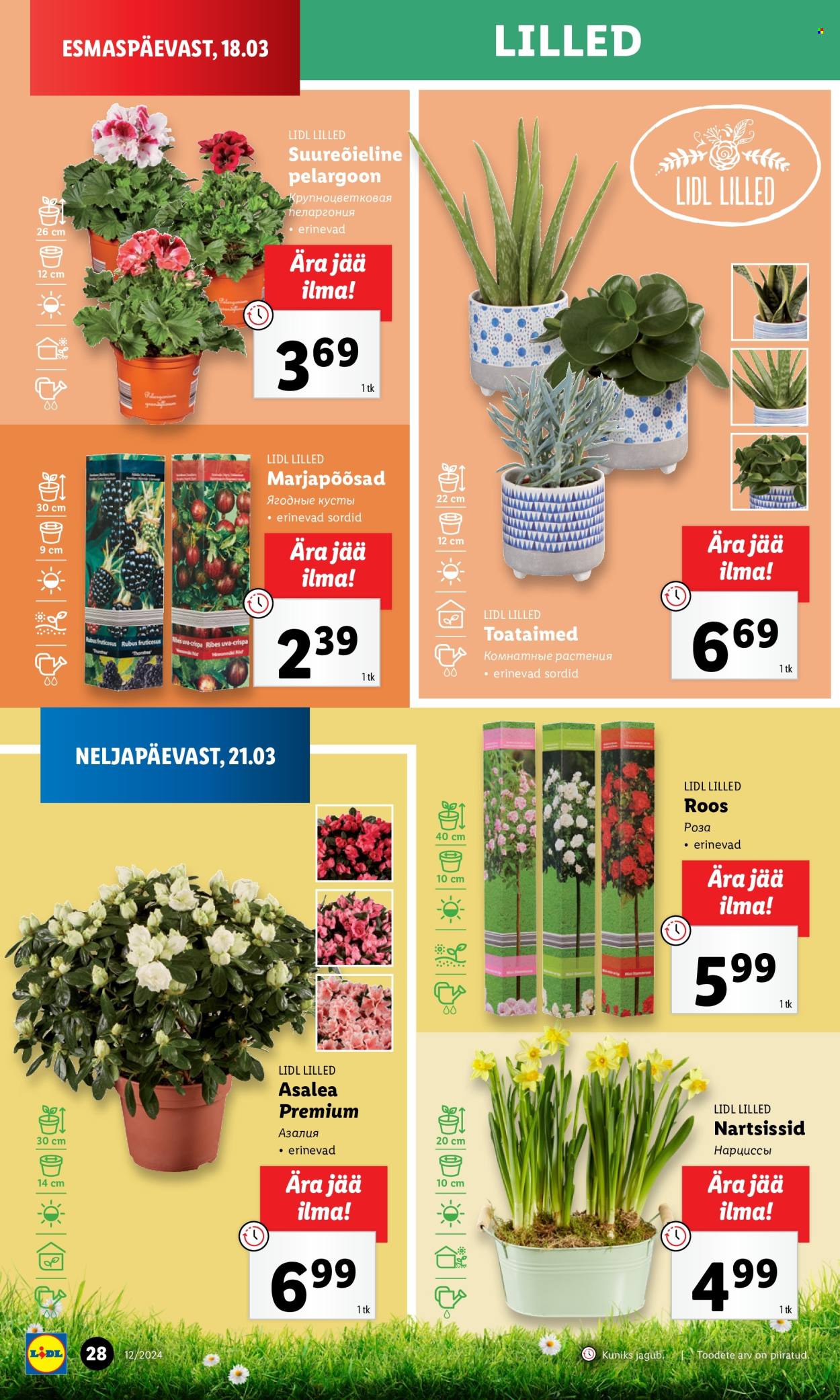 Lidl kliendileht - 21.03.2024 - 24.03.2024. Lehekülg 28