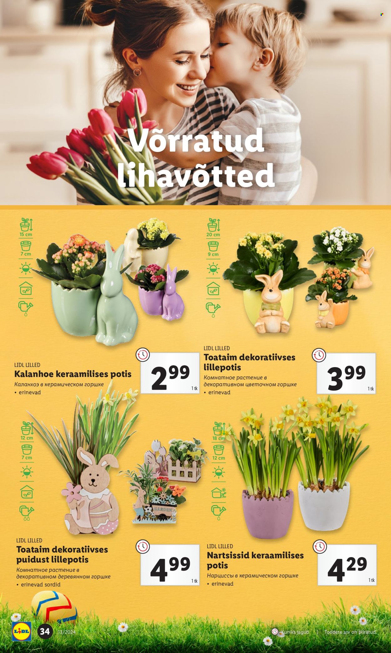 Lidl kliendileht - 28.03.2024 - 31.03.2024. Lehekülg 34