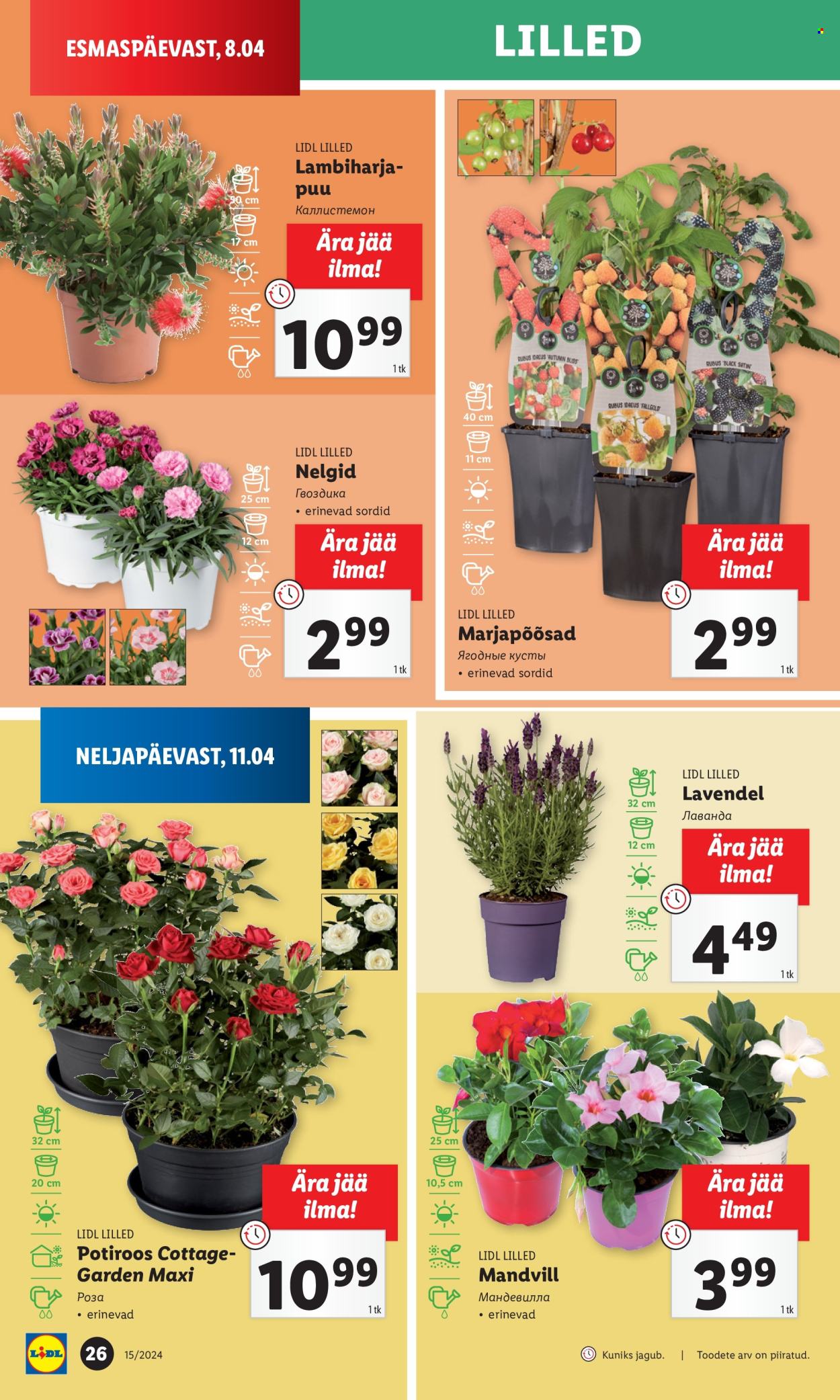 Lidl kliendileht - 11.04.2024 - 14.04.2024. Lehekülg 26