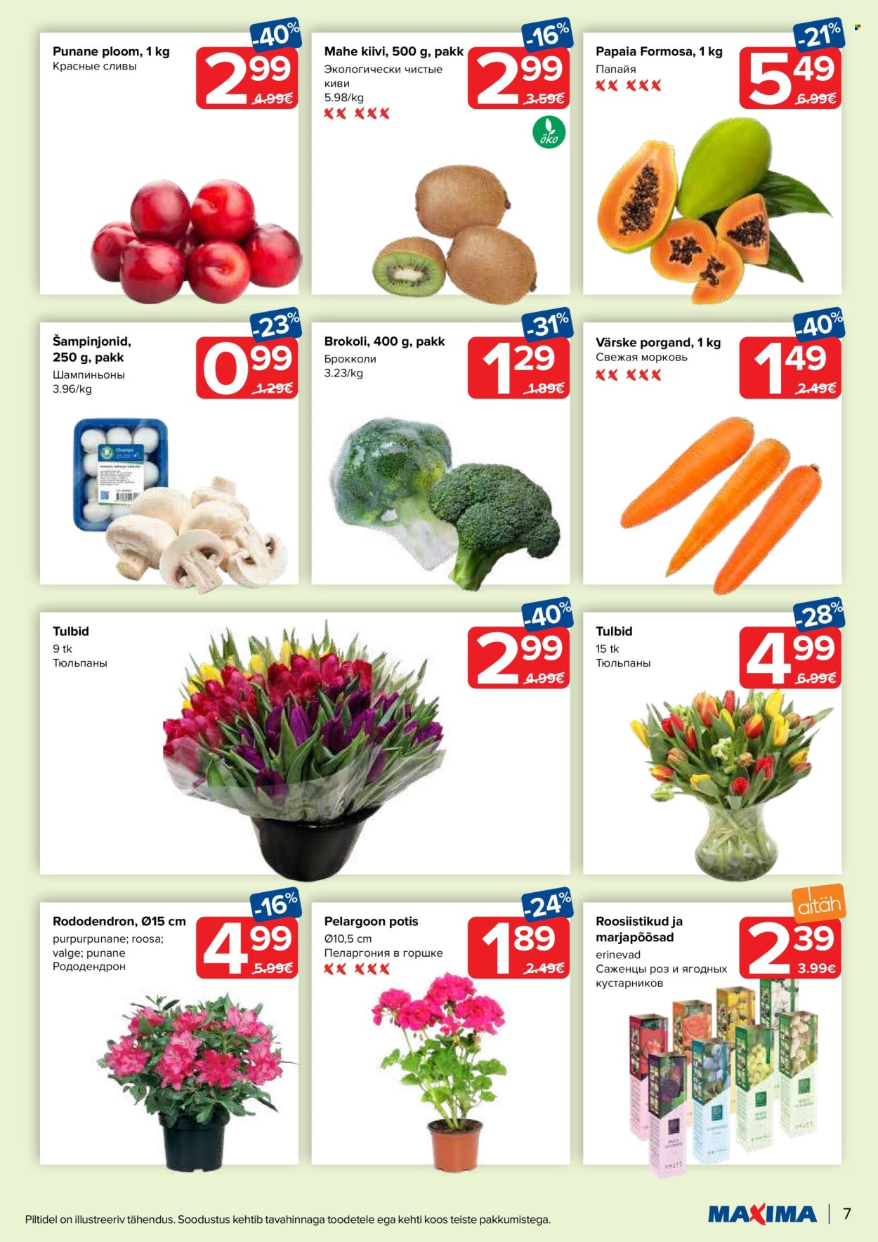 Maxima kliendileht - 16.04.2024 - 22.04.2024. Lehekülg 7