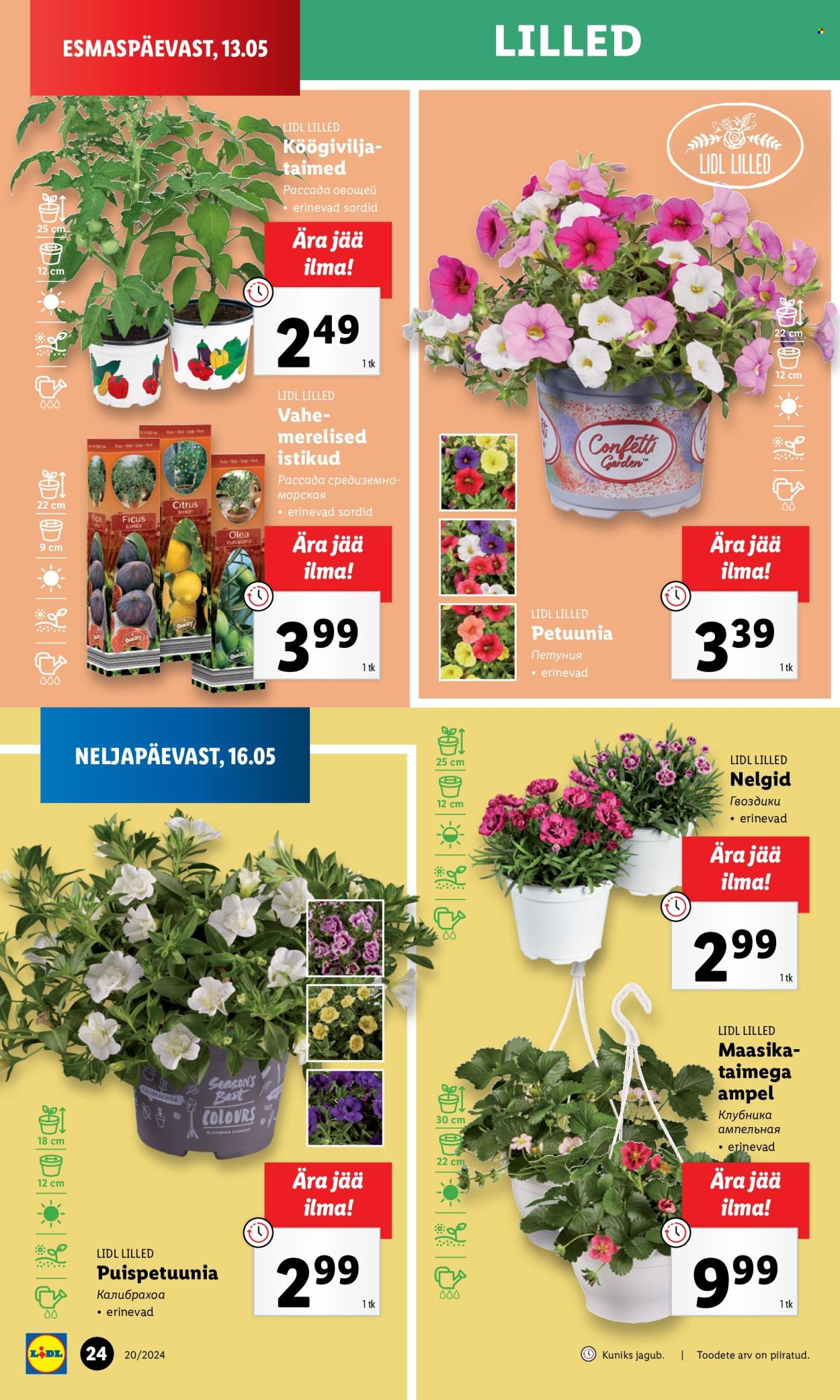 Lidl kliendileht - 16.05.2024 - 19.05.2024. Lehekülg 24