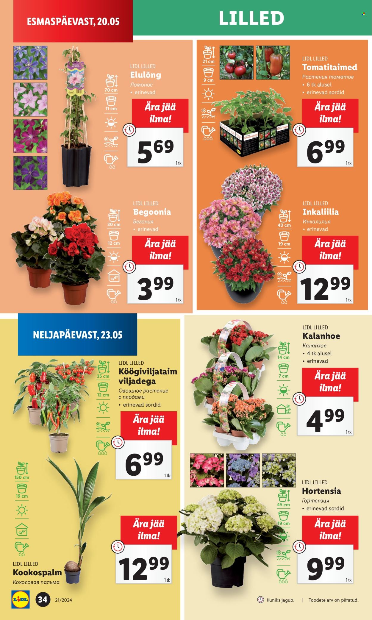 Lidl kliendileht - 20.05.2024 - 26.05.2024. Lehekülg 34