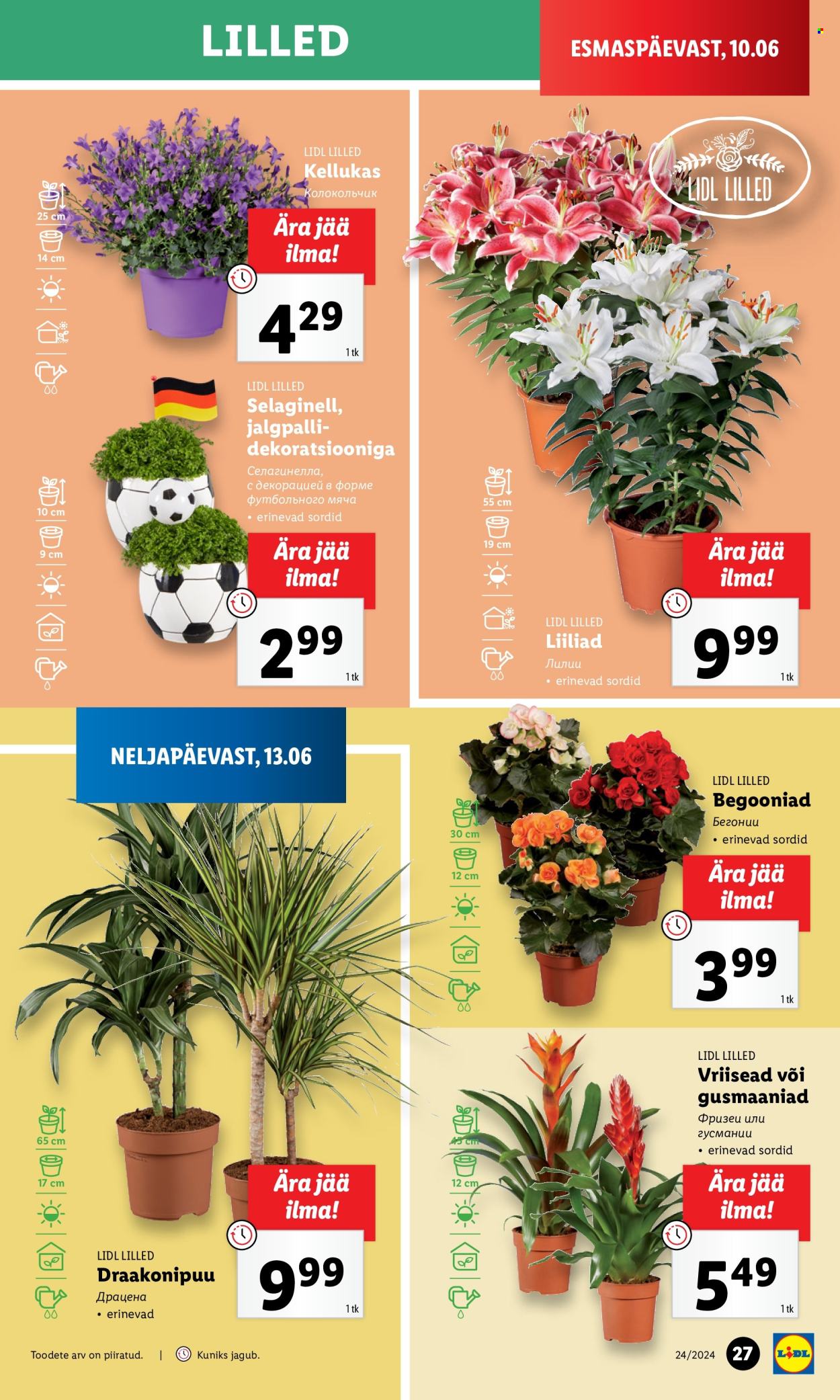 Lidl kliendileht - 13.06.2024 - 16.06.2024. Lehekülg 27