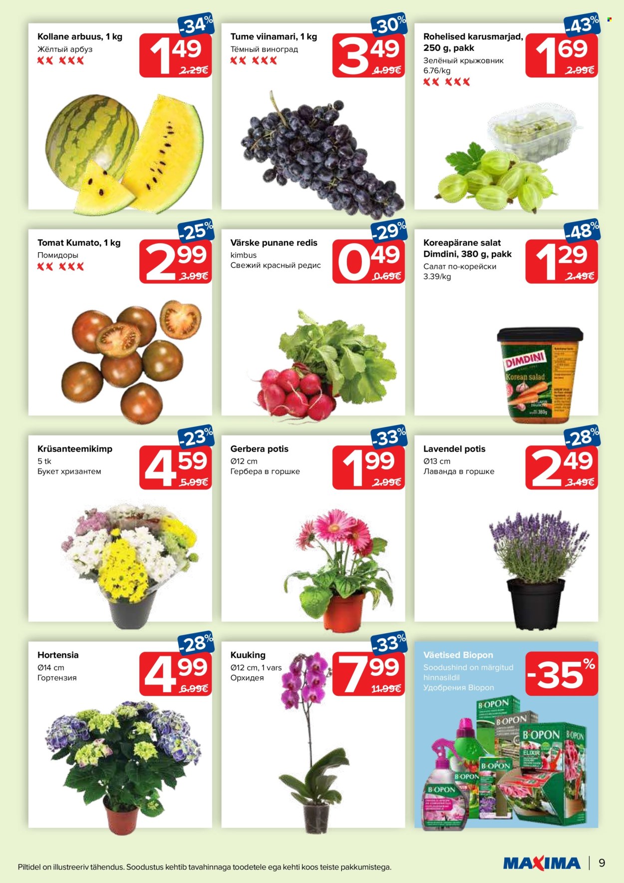 Maxima kliendileht - 02.07.2024 - 08.07.2024. Lehekülg 9