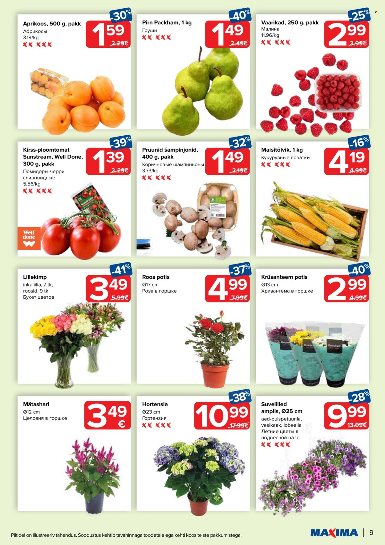 Maxima kliendileht - 09.07.2024 - 15.07.2024. Lehekülg 9