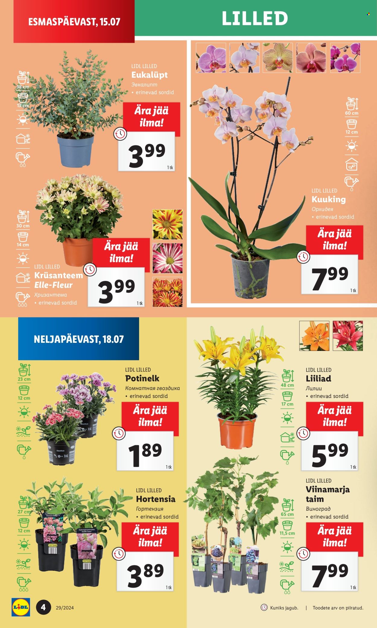 Lidl kliendileht - 18.07.2024 - 21.07.2024. Lehekülg 4