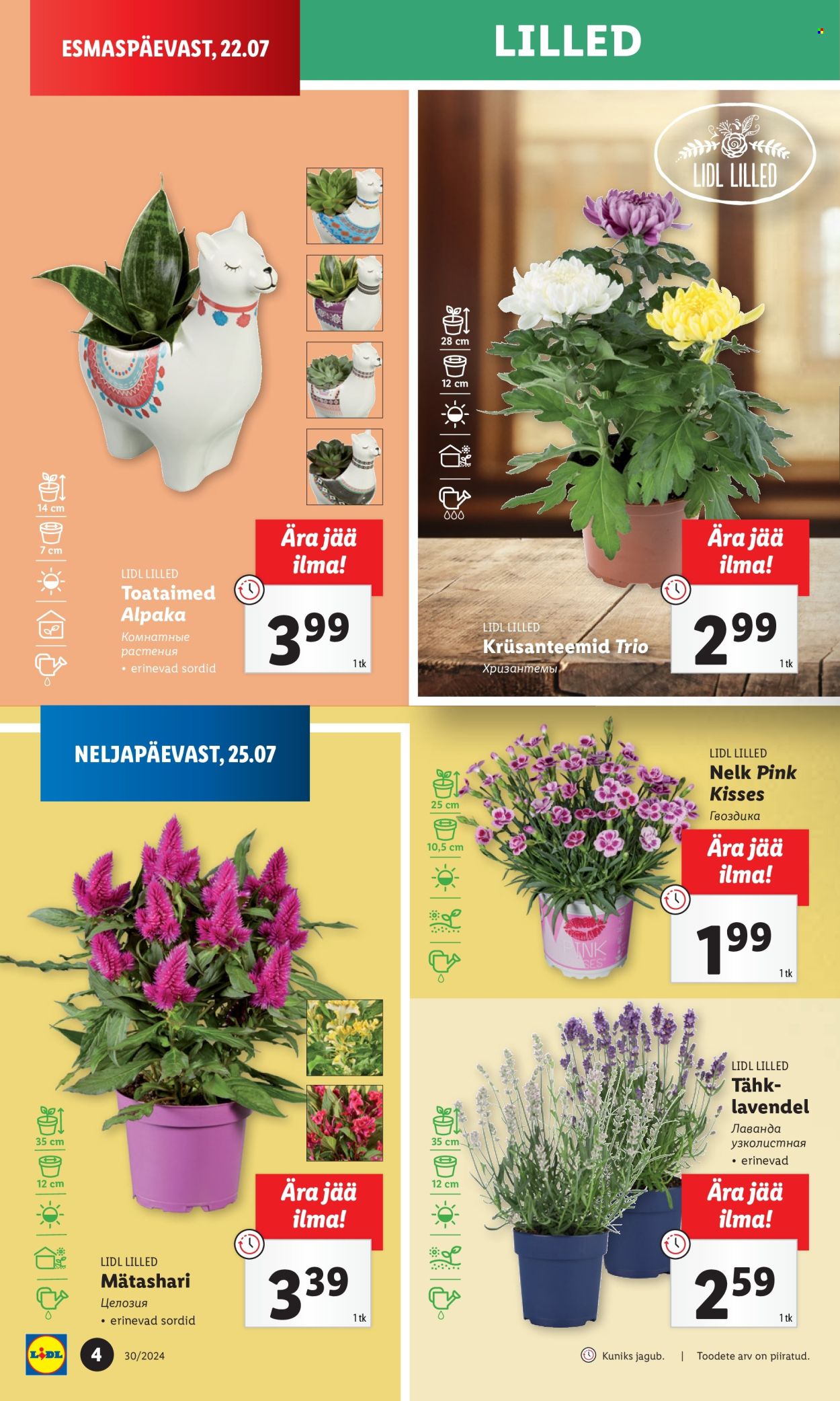 Lidl kliendileht - 25.07.2024 - 28.07.2024. Lehekülg 4