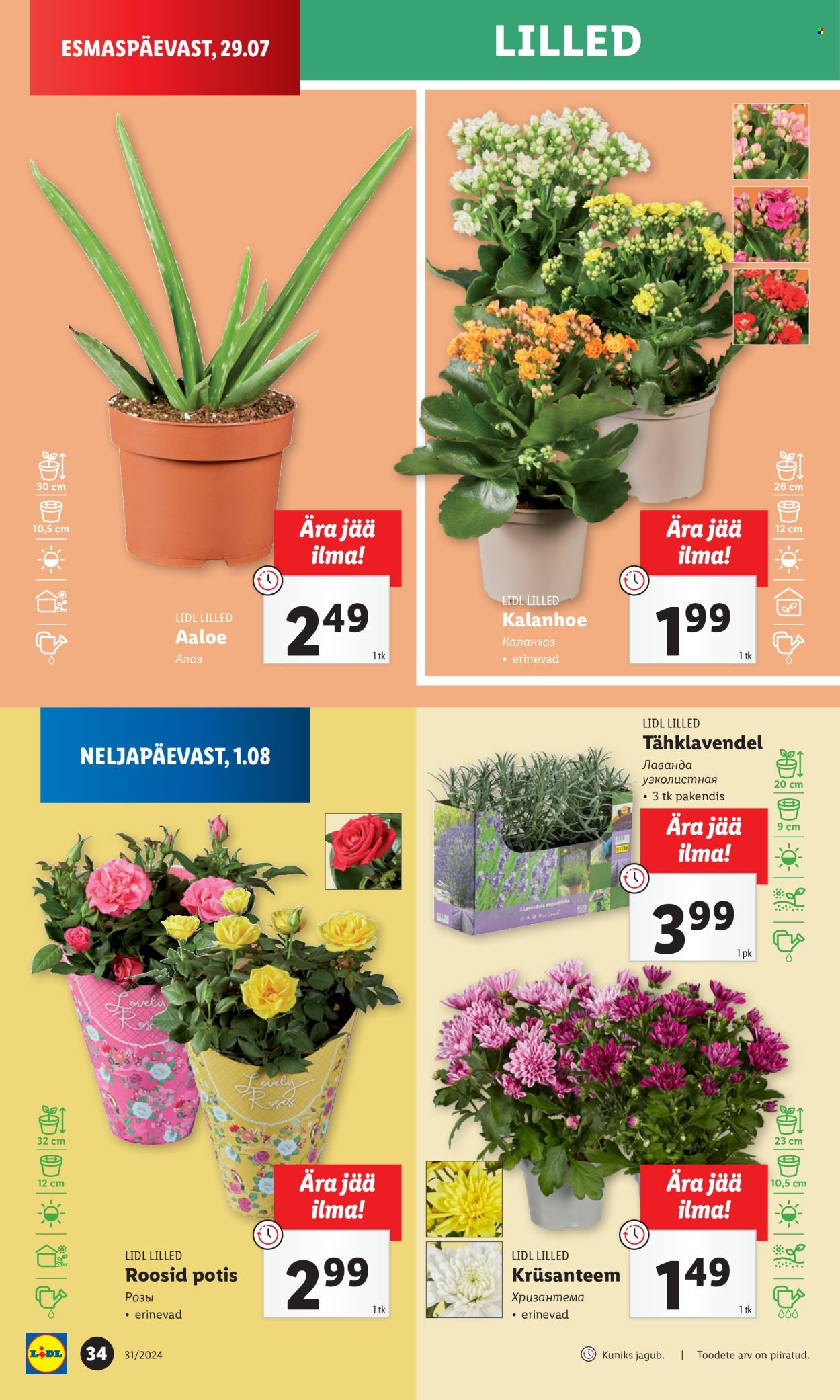 Lidl kliendileht - 29.07.2024 - 04.08.2024. Lehekülg 34
