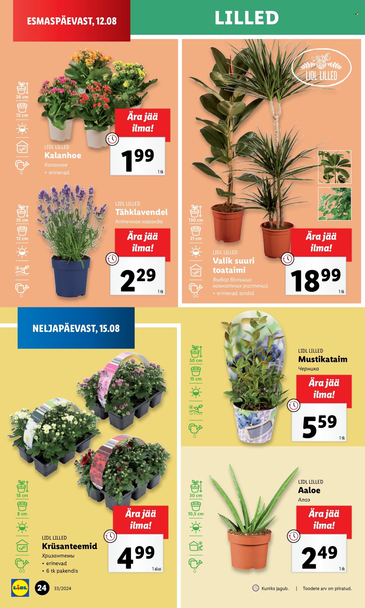 Lidl kliendileht - 15.08.2024 - 18.08.2024. Lehekülg 24