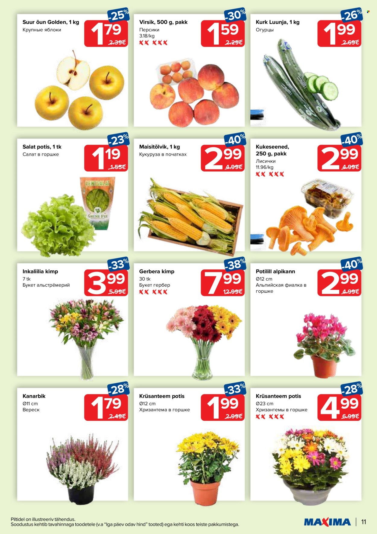 Maxima kliendileht - 20.08.2024 - 26.08.2024. Lehekülg 11