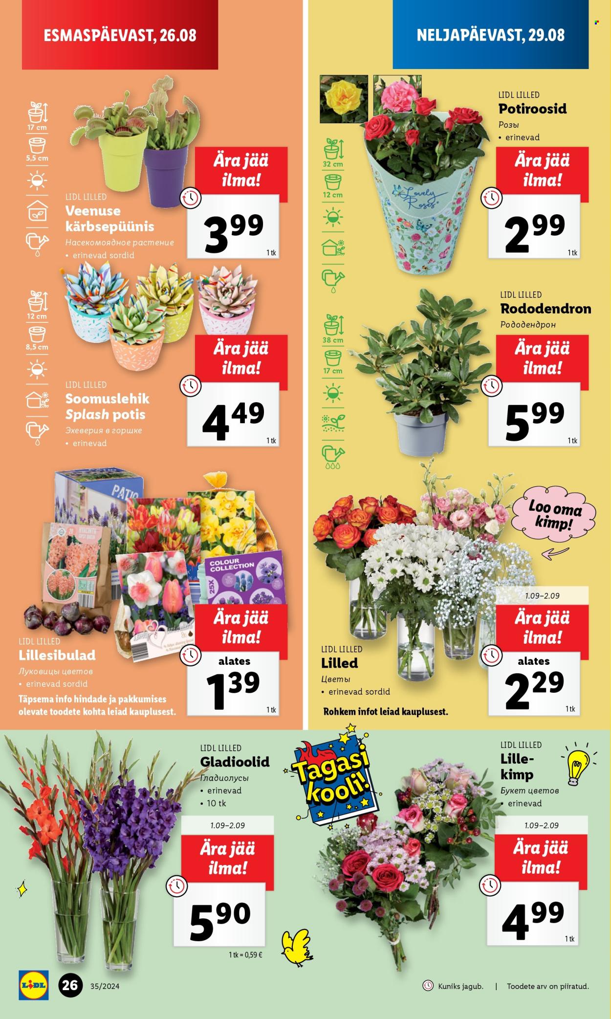 Lidl kliendileht - 30.08.2024 - 01.09.2024. Lehekülg 26