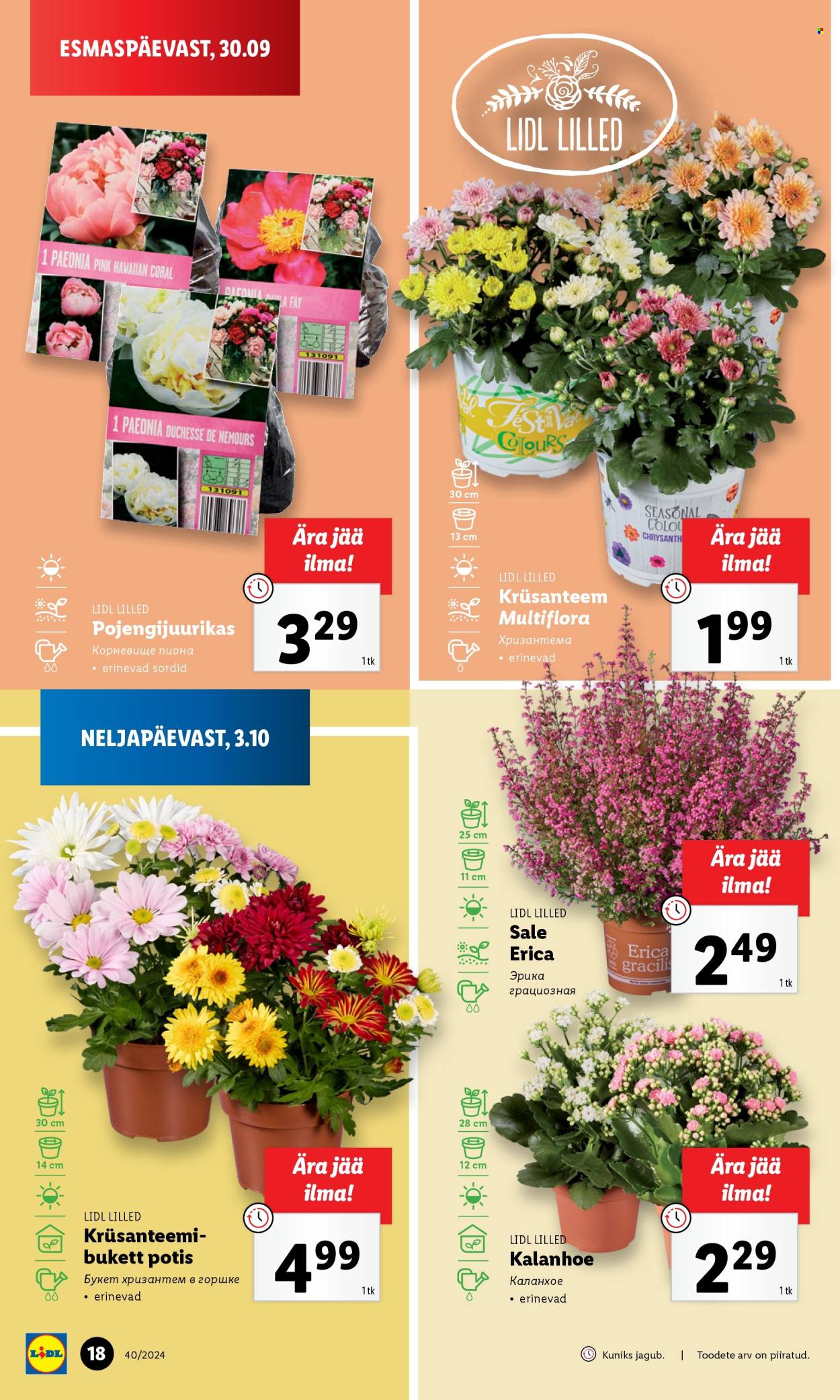 Lidl kliendileht - 30.09.2024 - 06.10.2024. Lehekülg 18