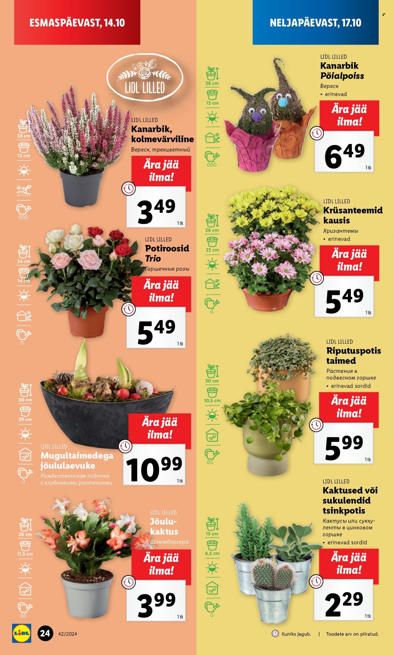 Lidl kliendileht - 17.10.2024 - 20.10.2024. Lehekülg 24