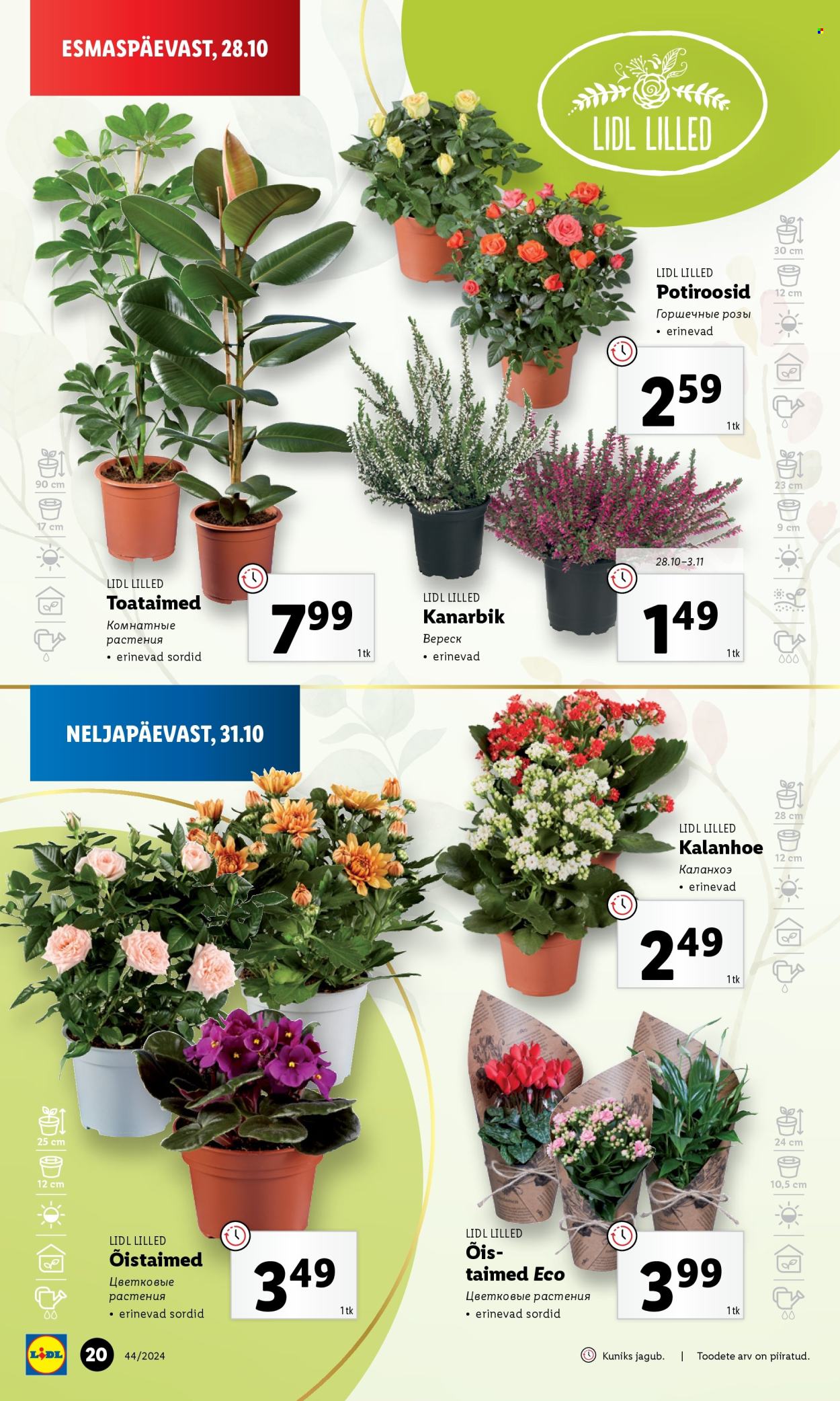 Lidl kliendileht - 28.10.2024 - 03.11.2024. Lehekülg 20