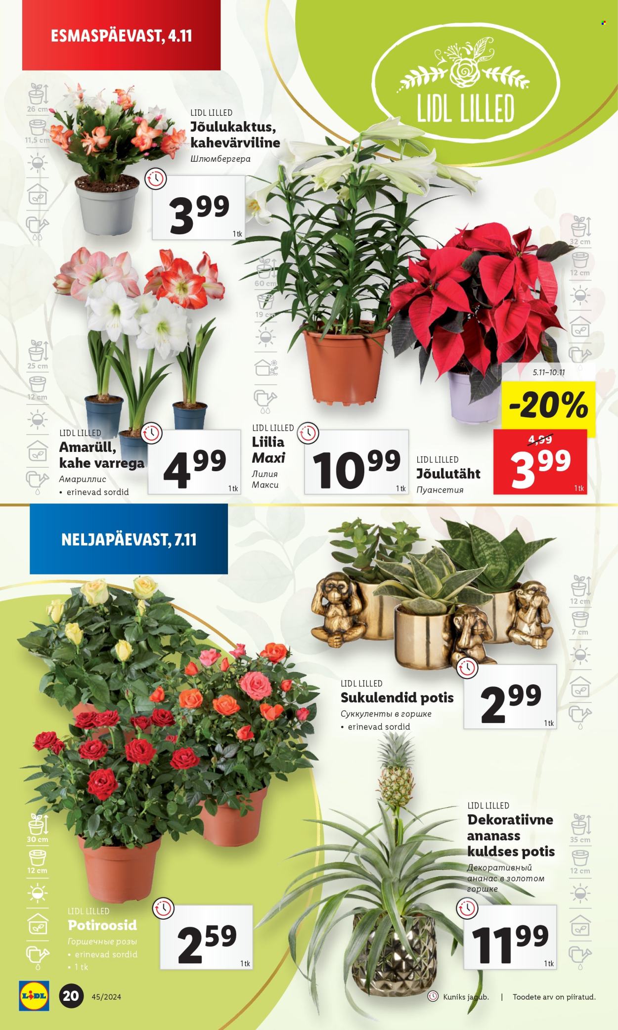 Lidl kliendileht - 04.11.2024 - 10.11.2024. Lehekülg 20