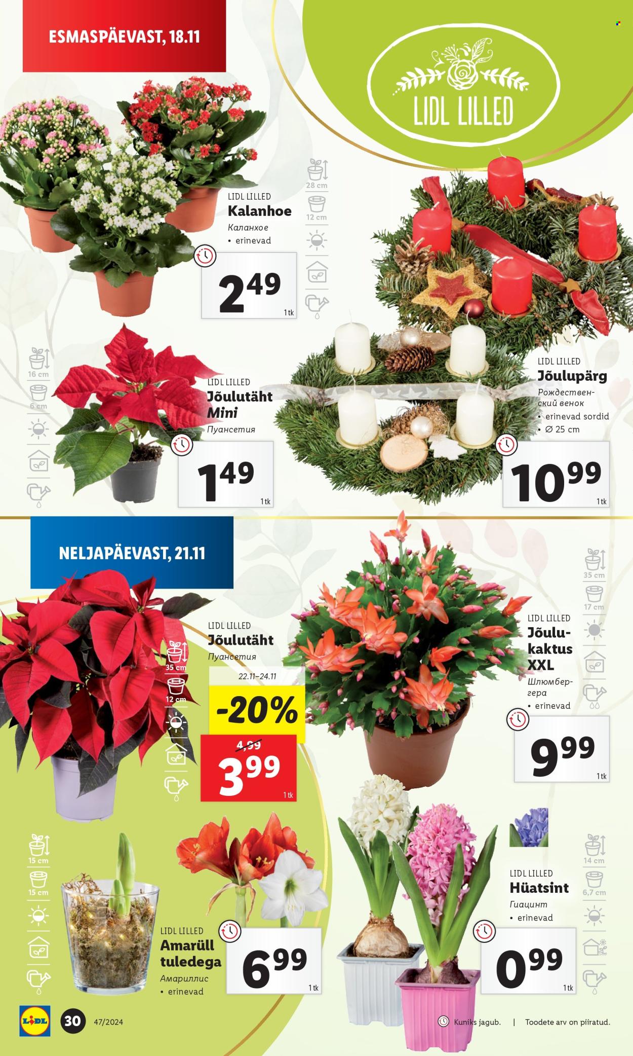 Lidl kliendileht - 21.11.2024 - 24.11.2024. Lehekülg 30