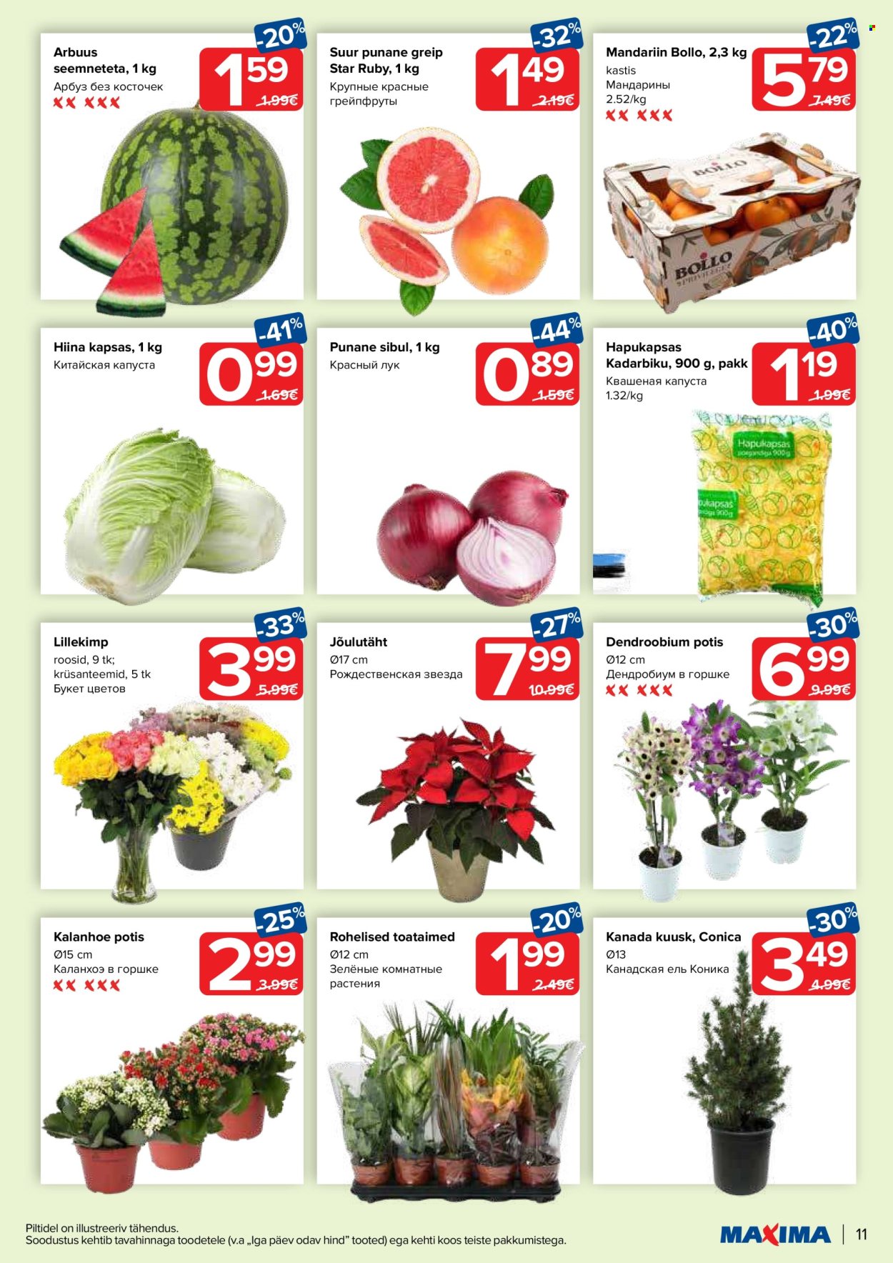Maxima kliendileht - 03.12.2024 - 09.12.2024. Lehekülg 11
