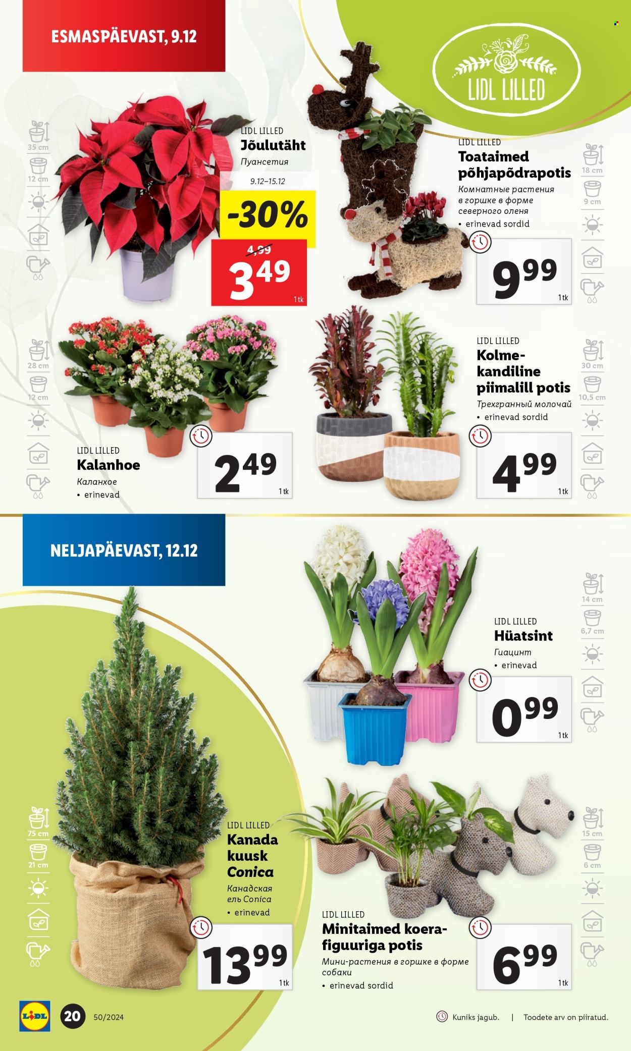 Lidl kliendileht - 09.12.2024 - 15.12.2024. Lehekülg 20