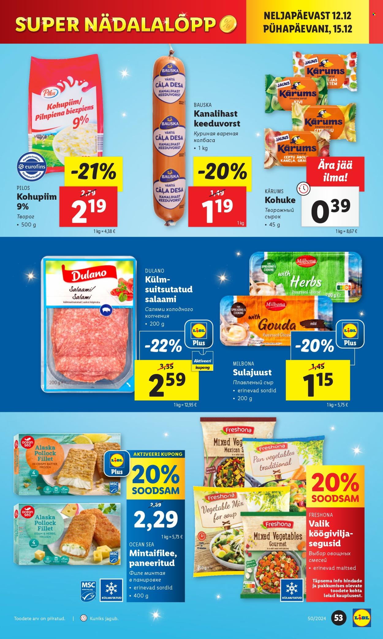 Lidl kliendileht - 09.12.2024 - 15.12.2024. Lehekülg 53
