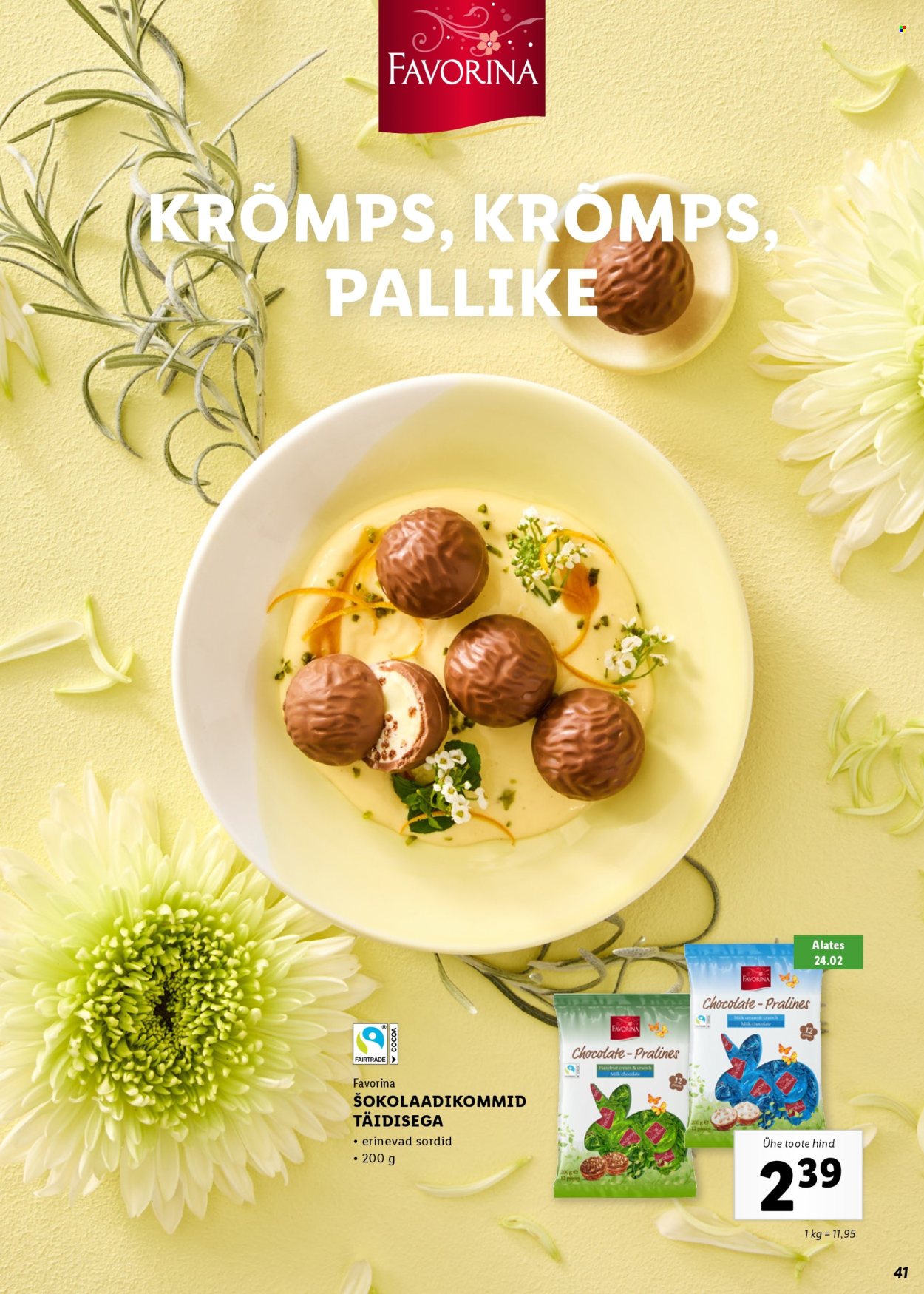 Lidl kliendileht. Lehekülg 41