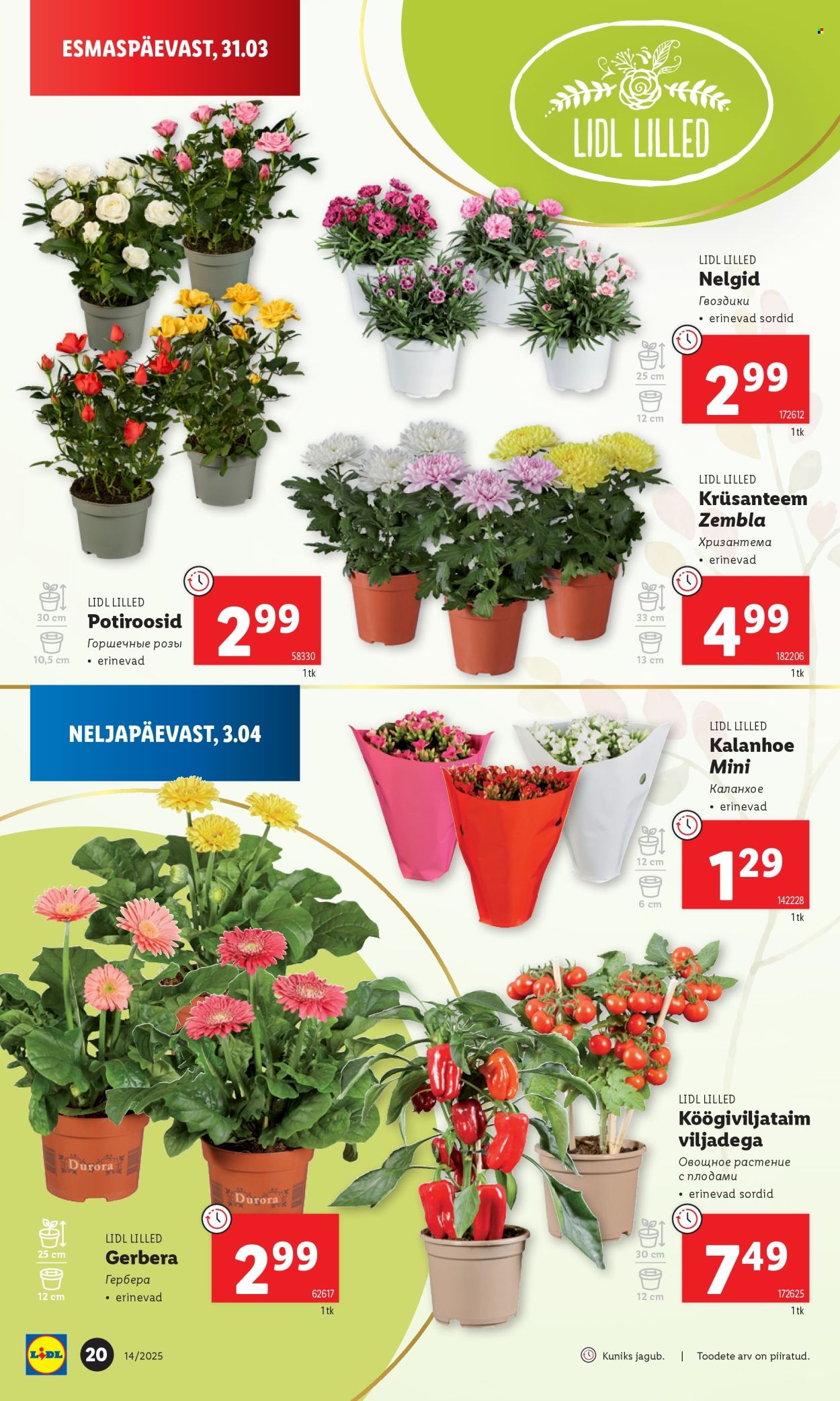 Lidl kliendileht - 31.03.2025 - 06.04.2025. Lehekülg 20