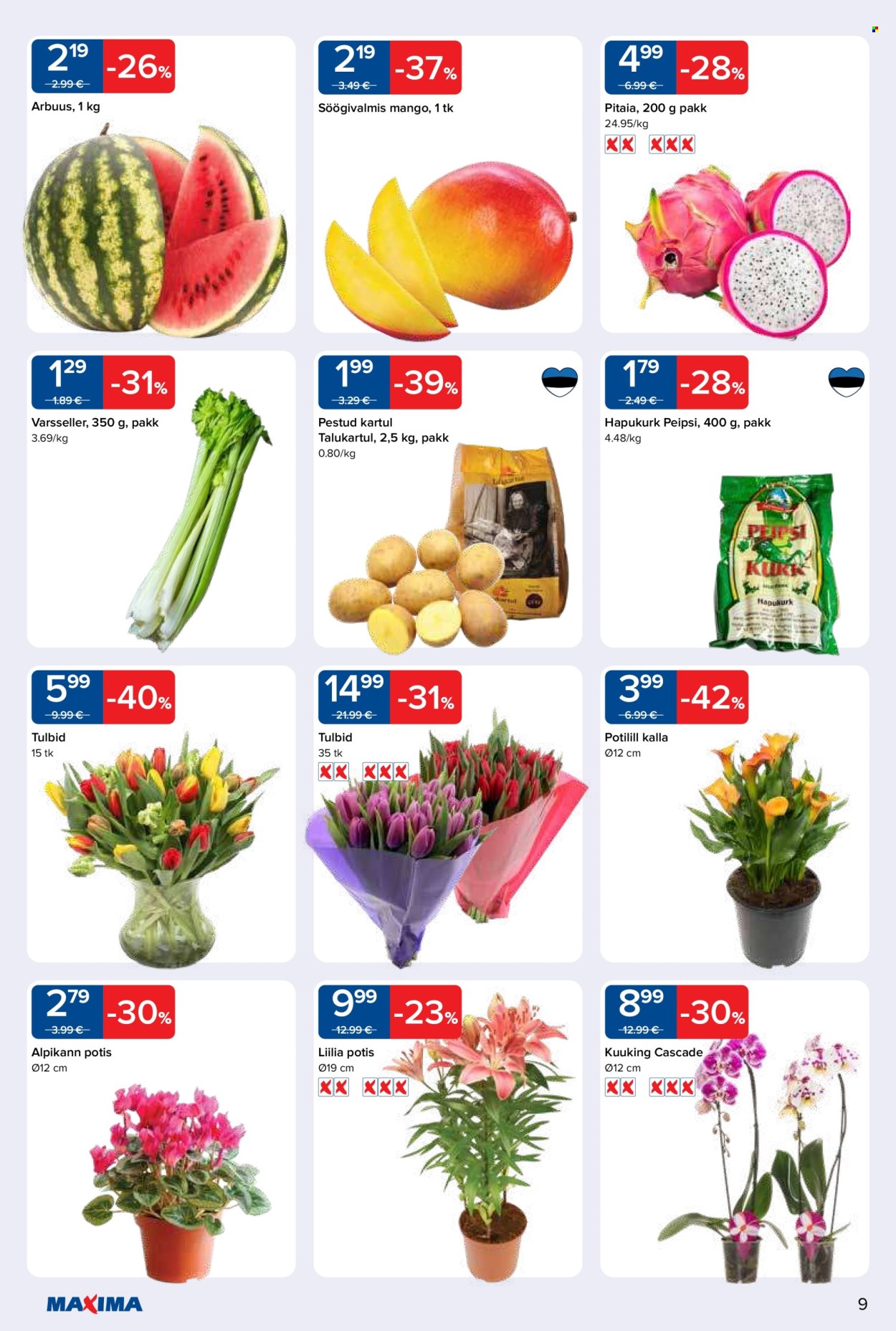 Maxima kliendileht - 01.04.2025 - 07.04.2025. Lehekülg 9
