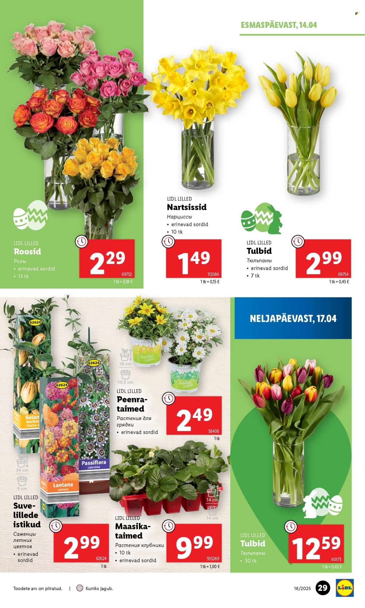Lidl kliendileht - 17.04.2025 - 20.04.2025. Lehekülg 29