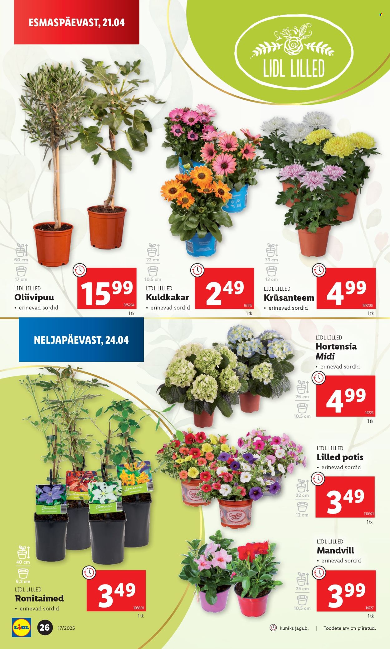 Lidl kliendileht - 21.04.2025 - 27.04.2025. Lehekülg 26
