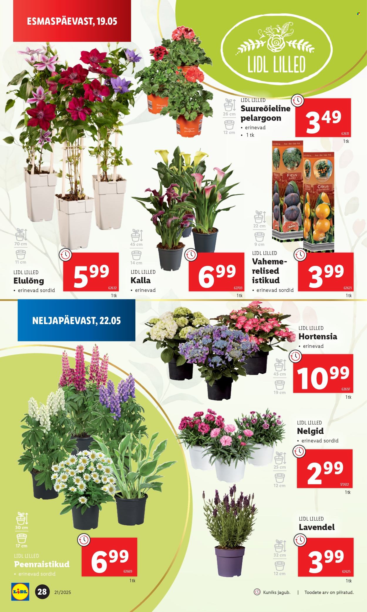 Lidl kliendileht - 19.05.2025 - 25.05.2025. Lehekülg 28