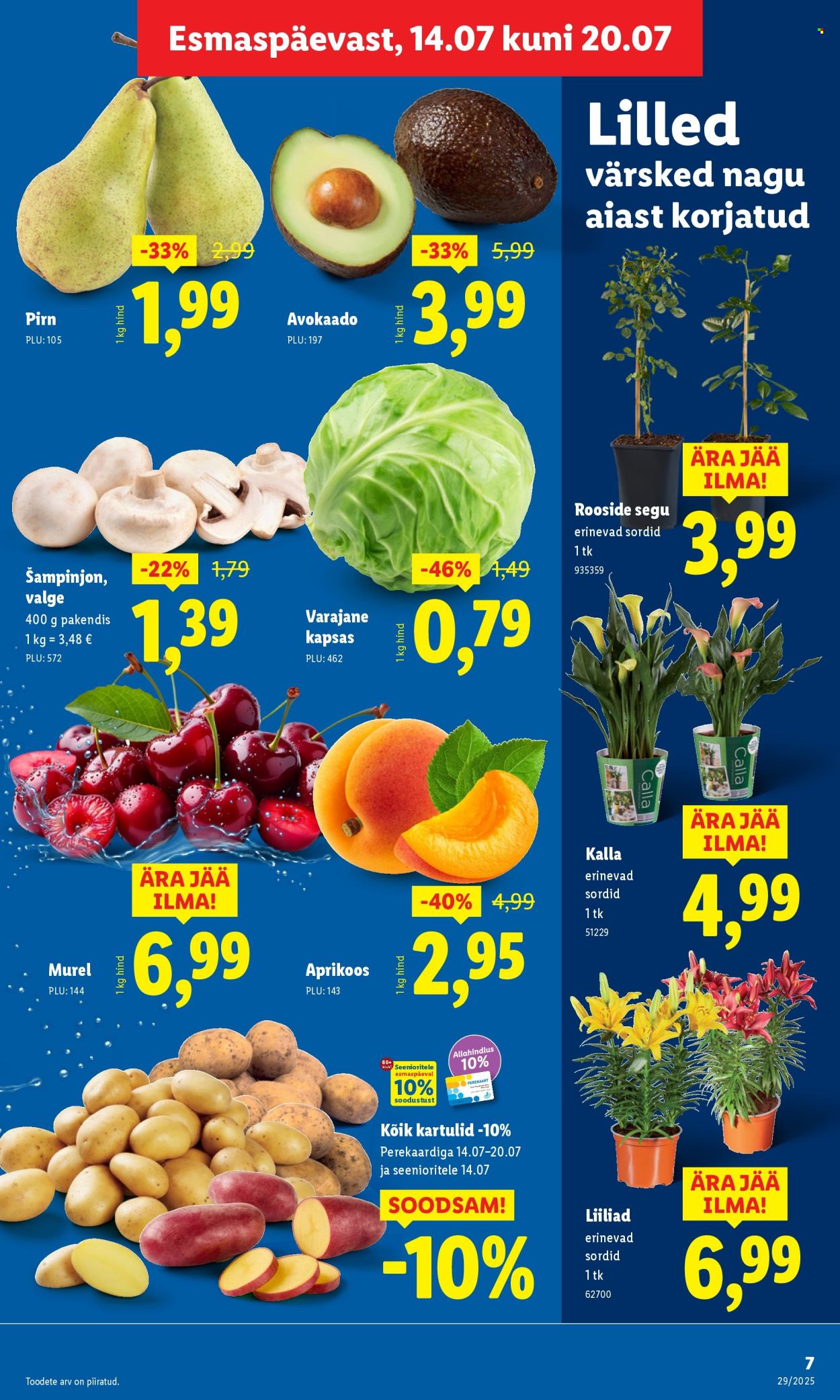 Lidl kliendileht - 17.07.2025 - 20.07.2025. Lehekülg 7