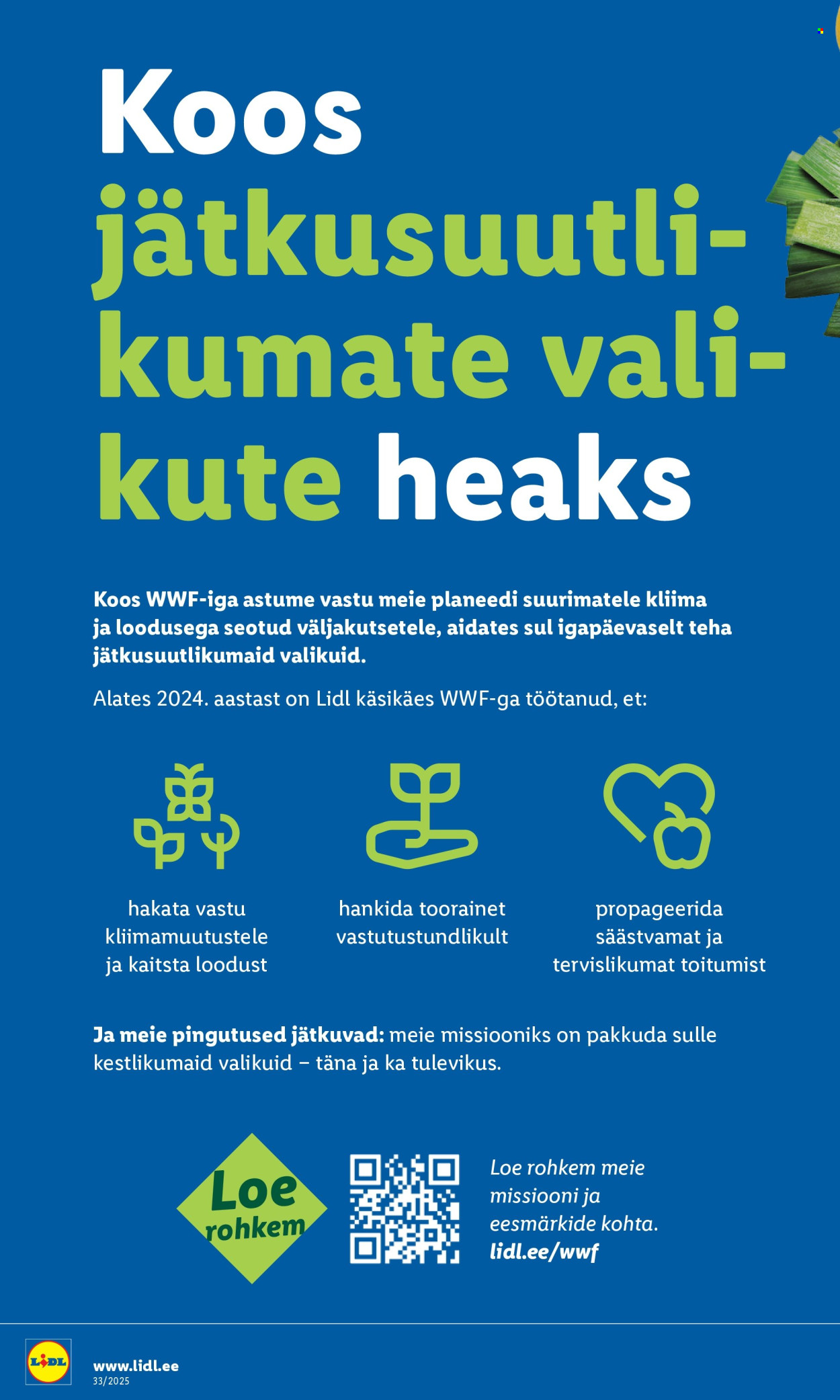 Lidl kliendileht - 14.08.2025 - 17.08.2025. Lehekülg 4