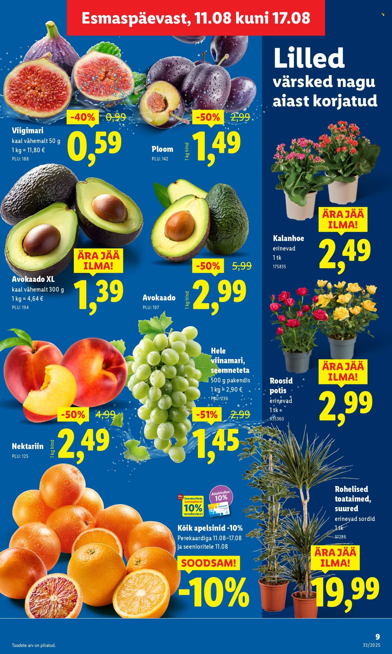 Lidl kliendileht - 14.08.2025 - 17.08.2025. Lehekülg 9
