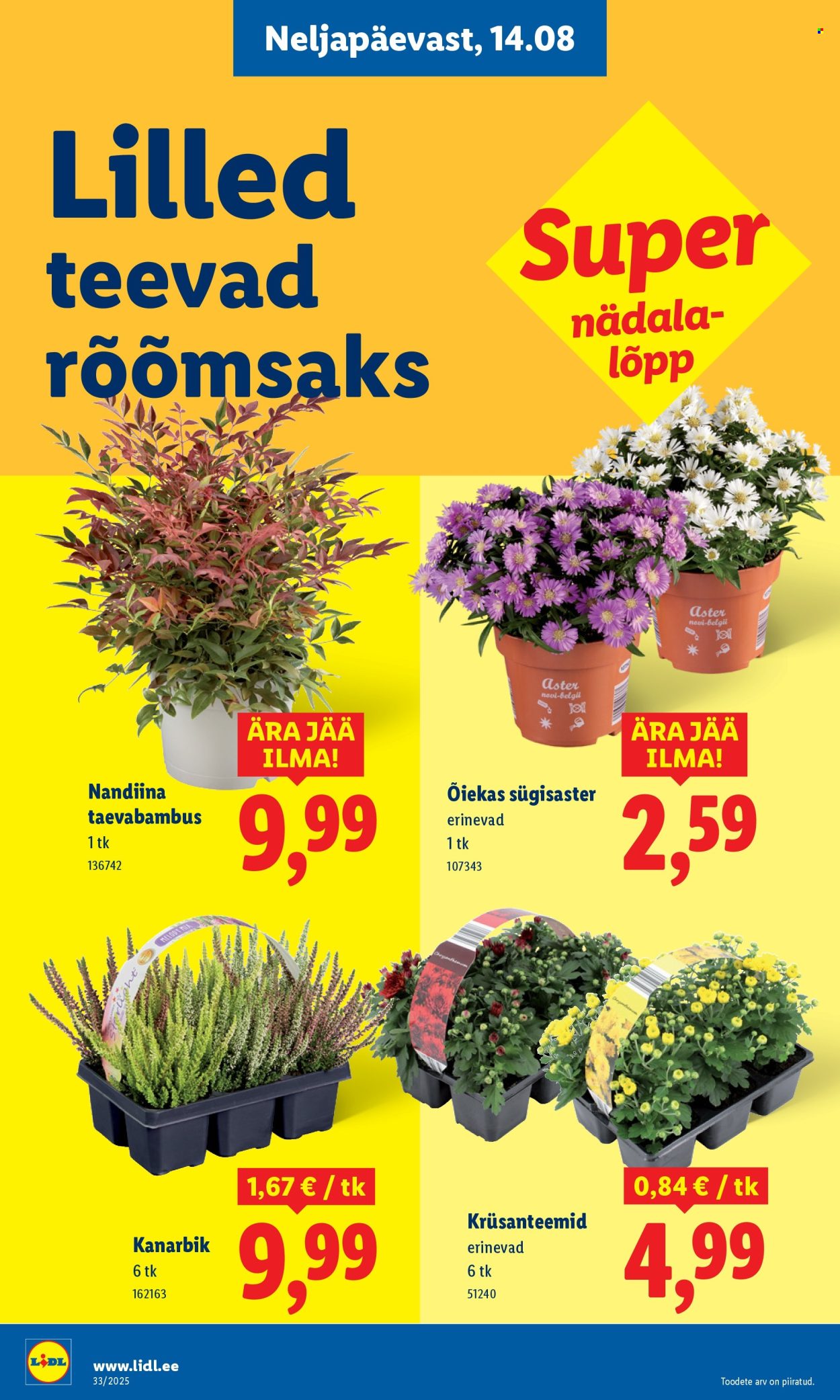 Lidl kliendileht - 14.08.2025 - 17.08.2025. Lehekülg 10