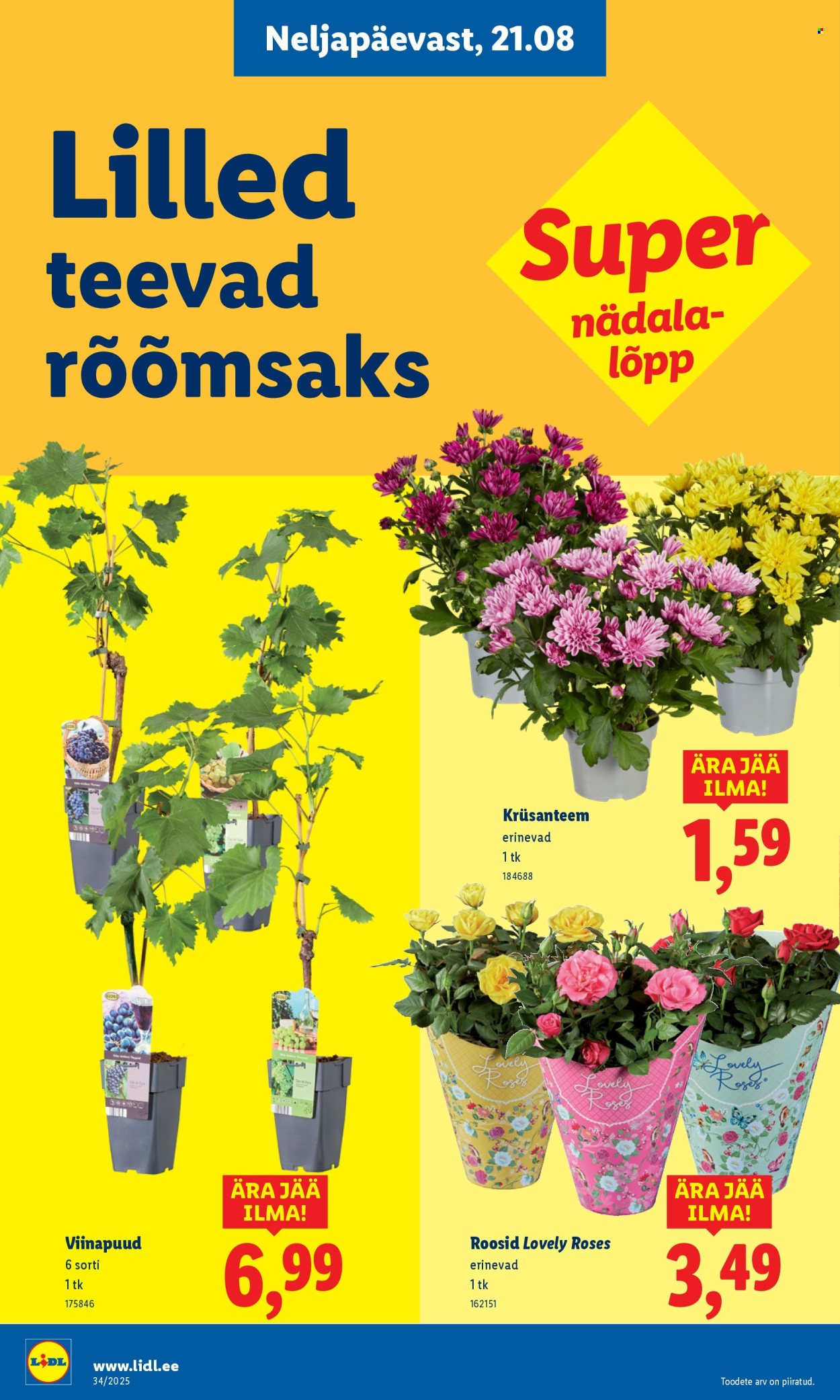 Lidl kliendileht - 18.08.2025 - 24.08.2025. Lehekülg 60