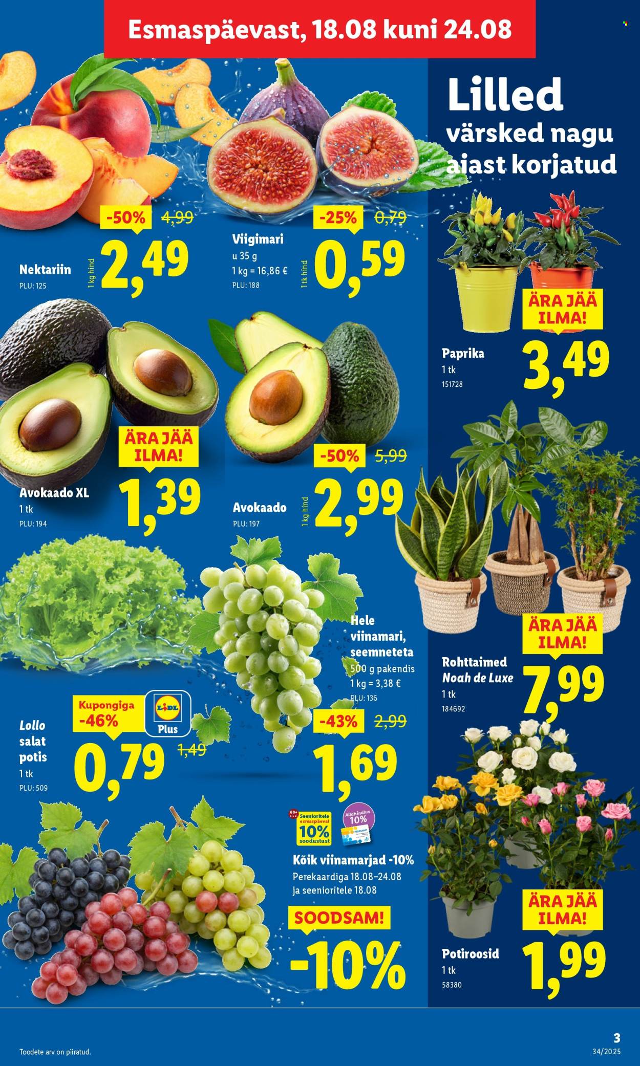 Lidl kliendileht - 21.08.2025 - 24.08.2025. Lehekülg 3