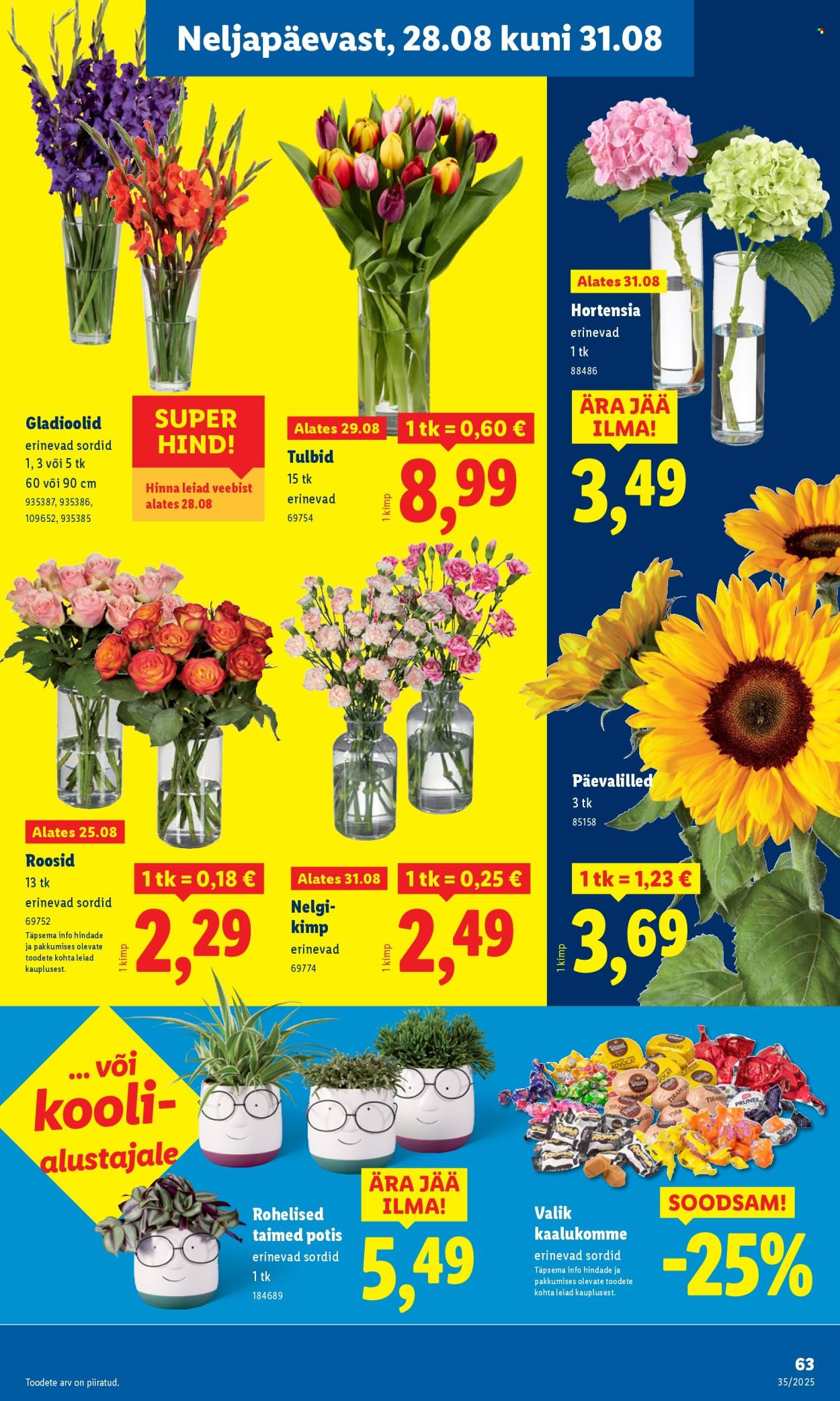Lidl kliendileht - 25.08.2025 - 31.08.2025. Lehekülg 63