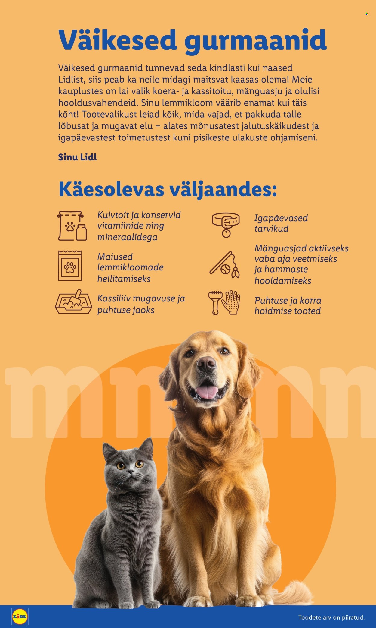 Lidl kliendileht - 25.08.2025 - 31.08.2025. Lehekülg 2