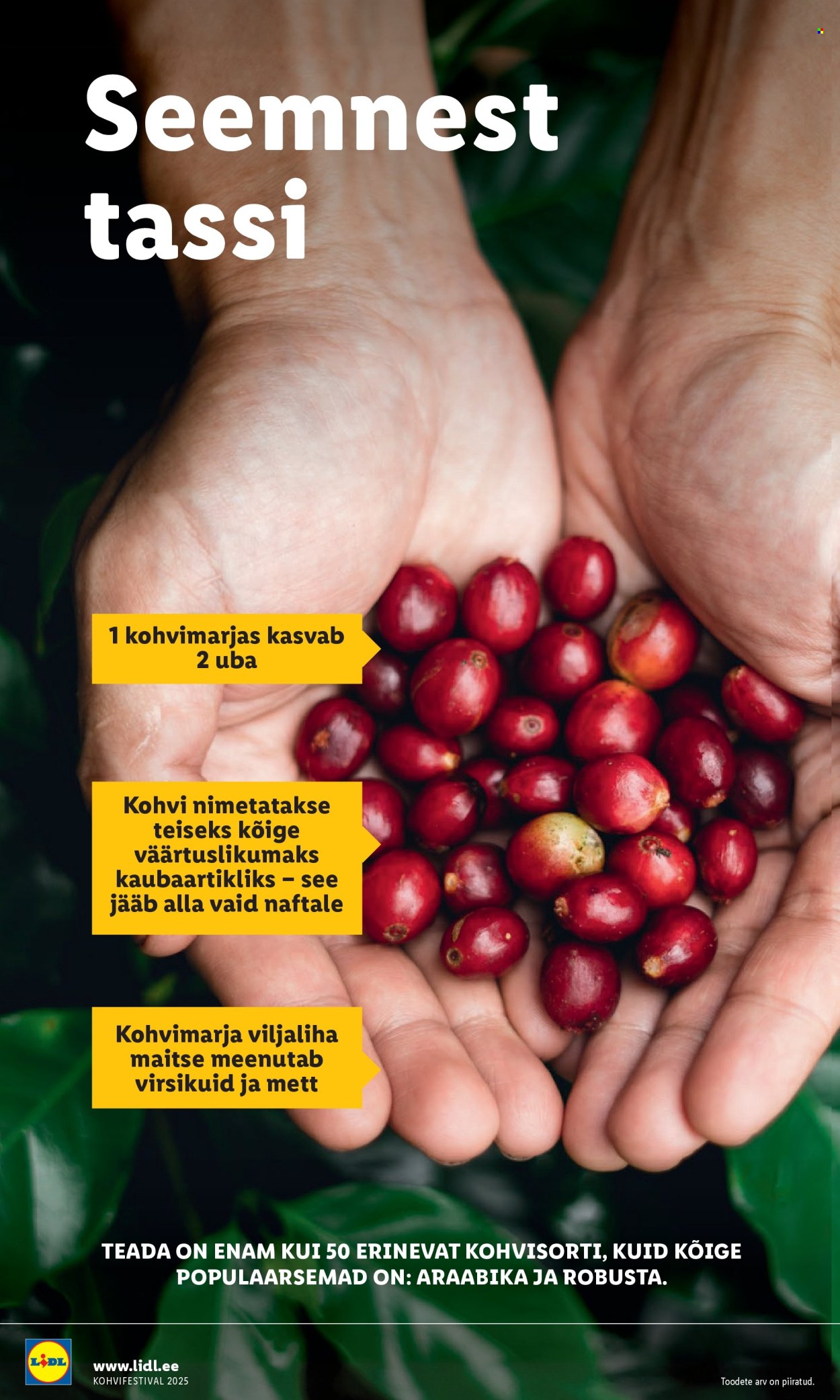Lidl kliendileht - 08.09.2025 - 21.09.2025. Lehekülg 10