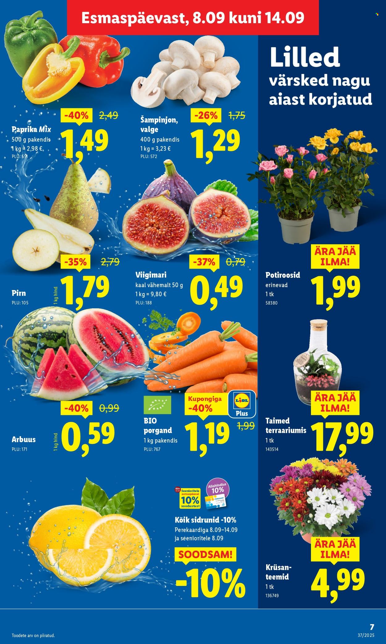 Lidl kliendileht - 11.09.2025 - 14.09.2025. Lehekülg 7