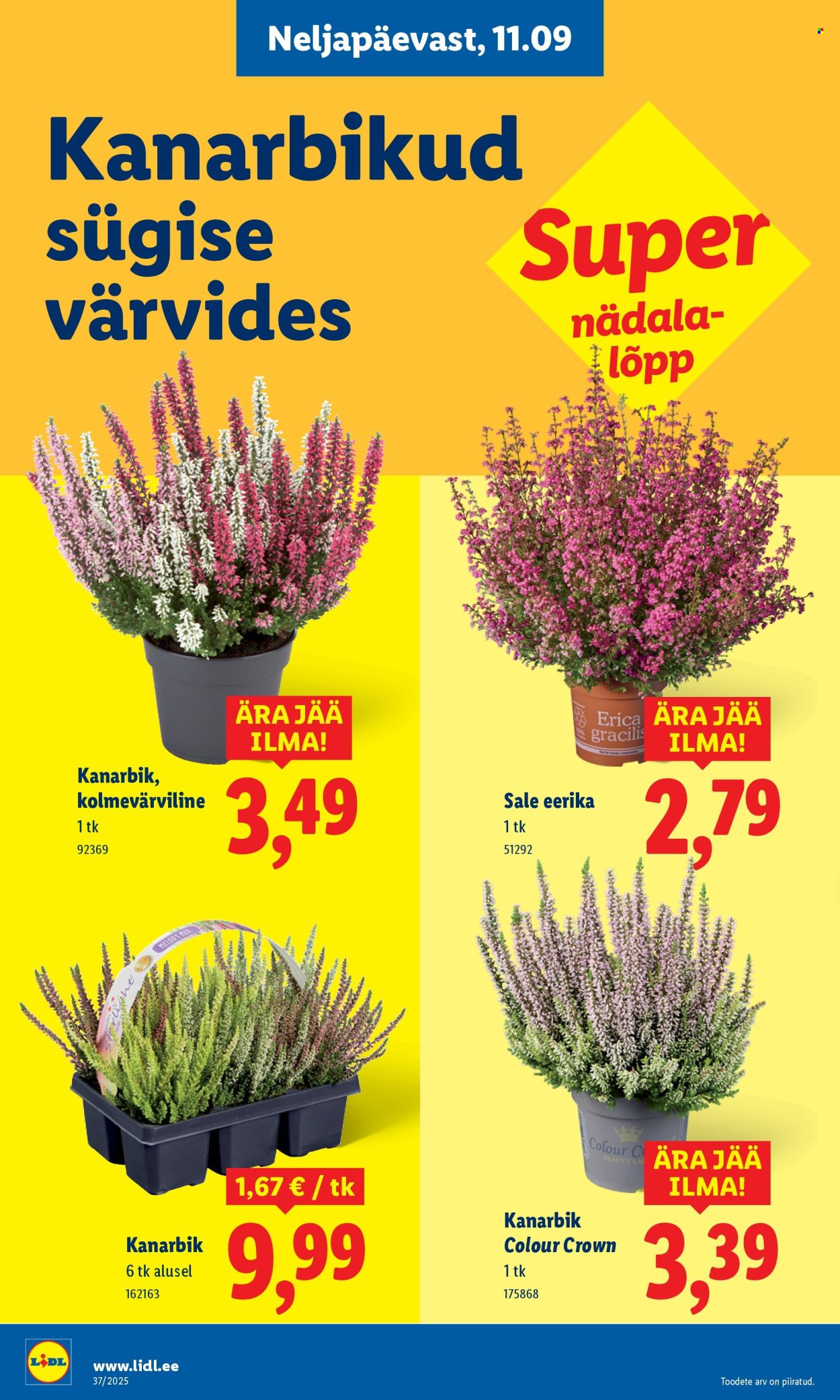 Lidl kliendileht - 11.09.2025 - 14.09.2025. Lehekülg 8