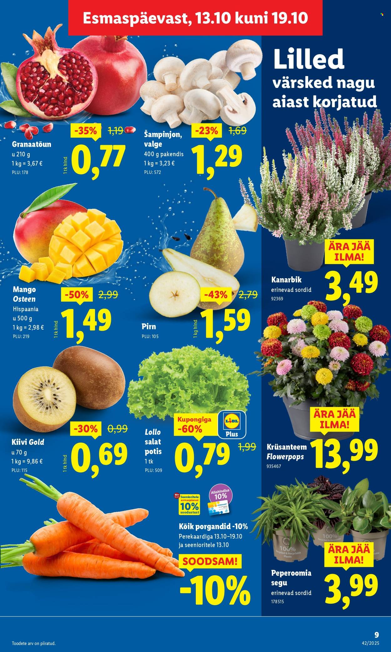 Lidl kliendileht - 16.10.2025 - 19.10.2025. Lehekülg 9