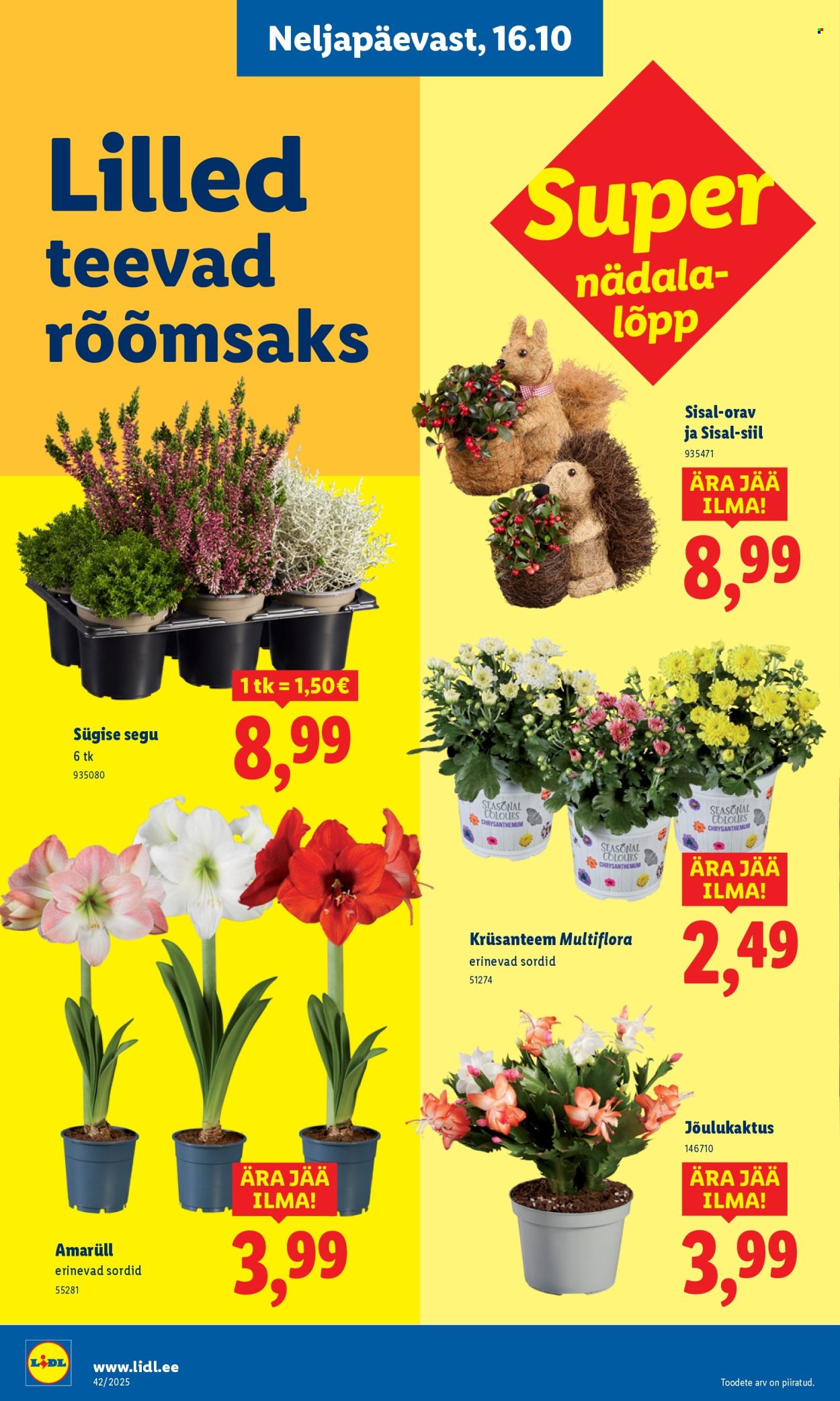 Lidl kliendileht - 16.10.2025 - 19.10.2025. Lehekülg 10
