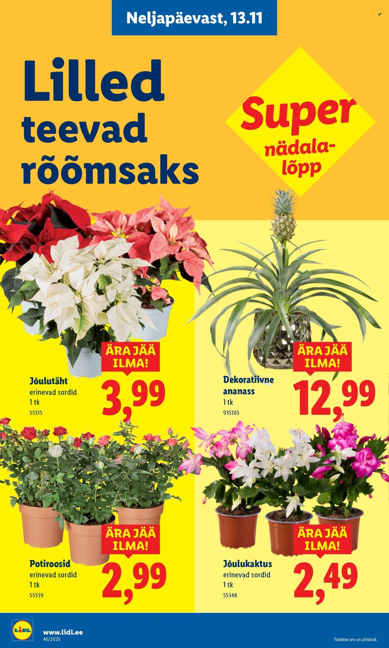 Lidl kliendileht - 10.11.2025 - 16.11.2025. Lehekülg 62