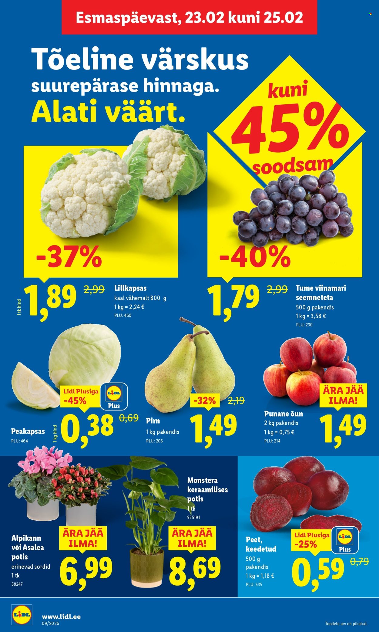 Lidl kliendileht - 23.02.2026 - 01.03.2026. Lehekülg 4