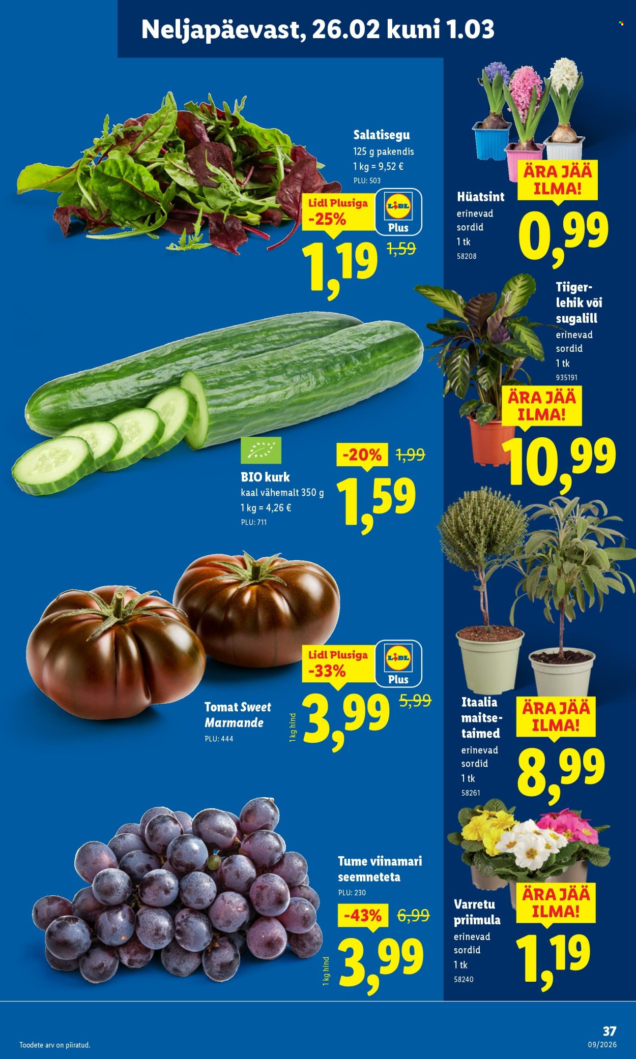 Lidl kliendileht - 23.02.2026 - 01.03.2026. Lehekülg 37