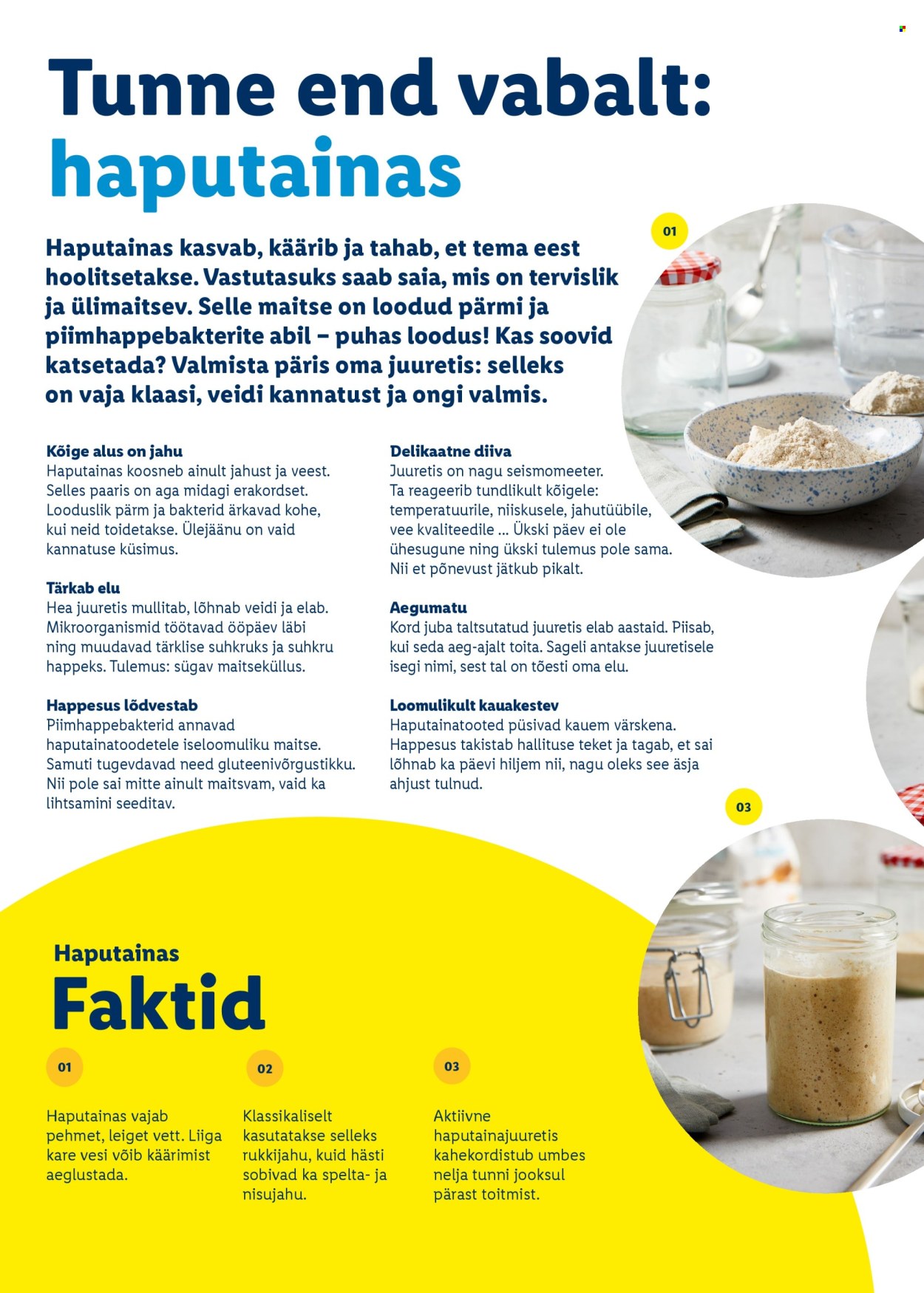 Lidl kliendileht. Lehekülg 36